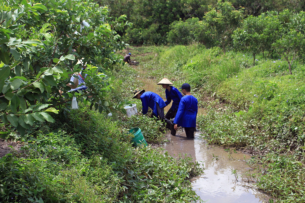 Du lịch nông nghiệp nhiều tiềm năng nhưng phát triển chưa xứng tầm

