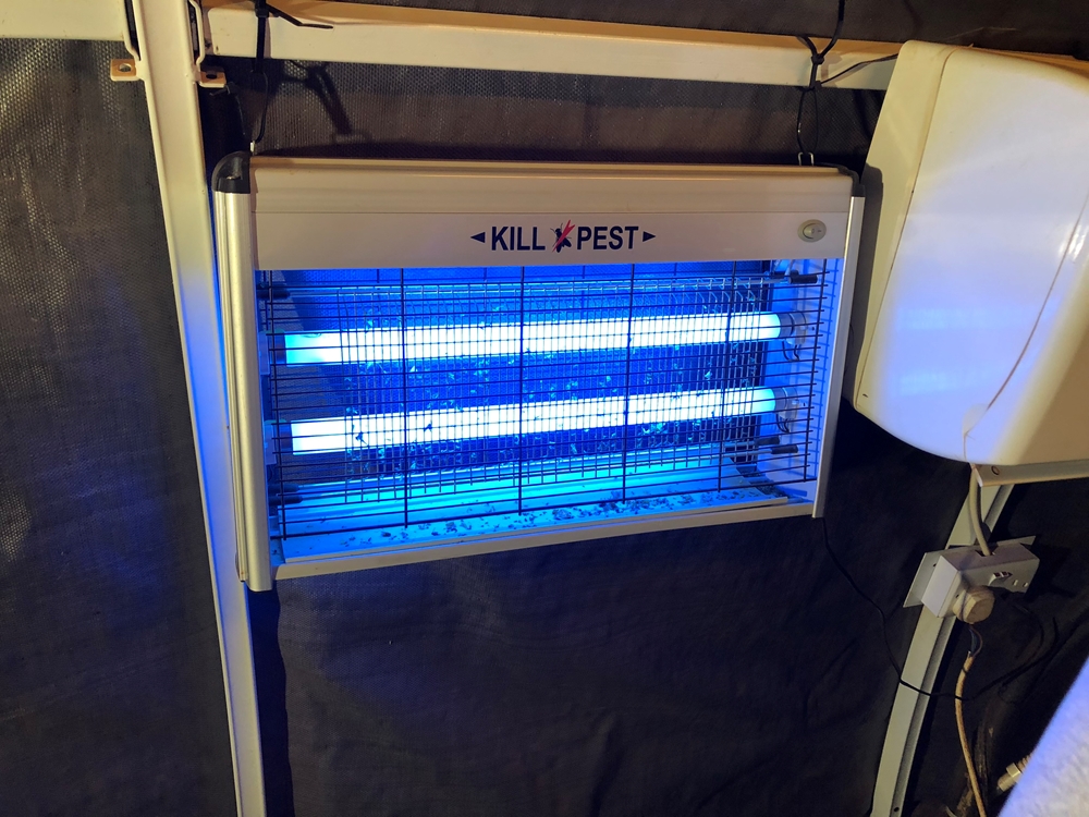 Đèn chống muỗi không thể thiếu ở Bentiu.