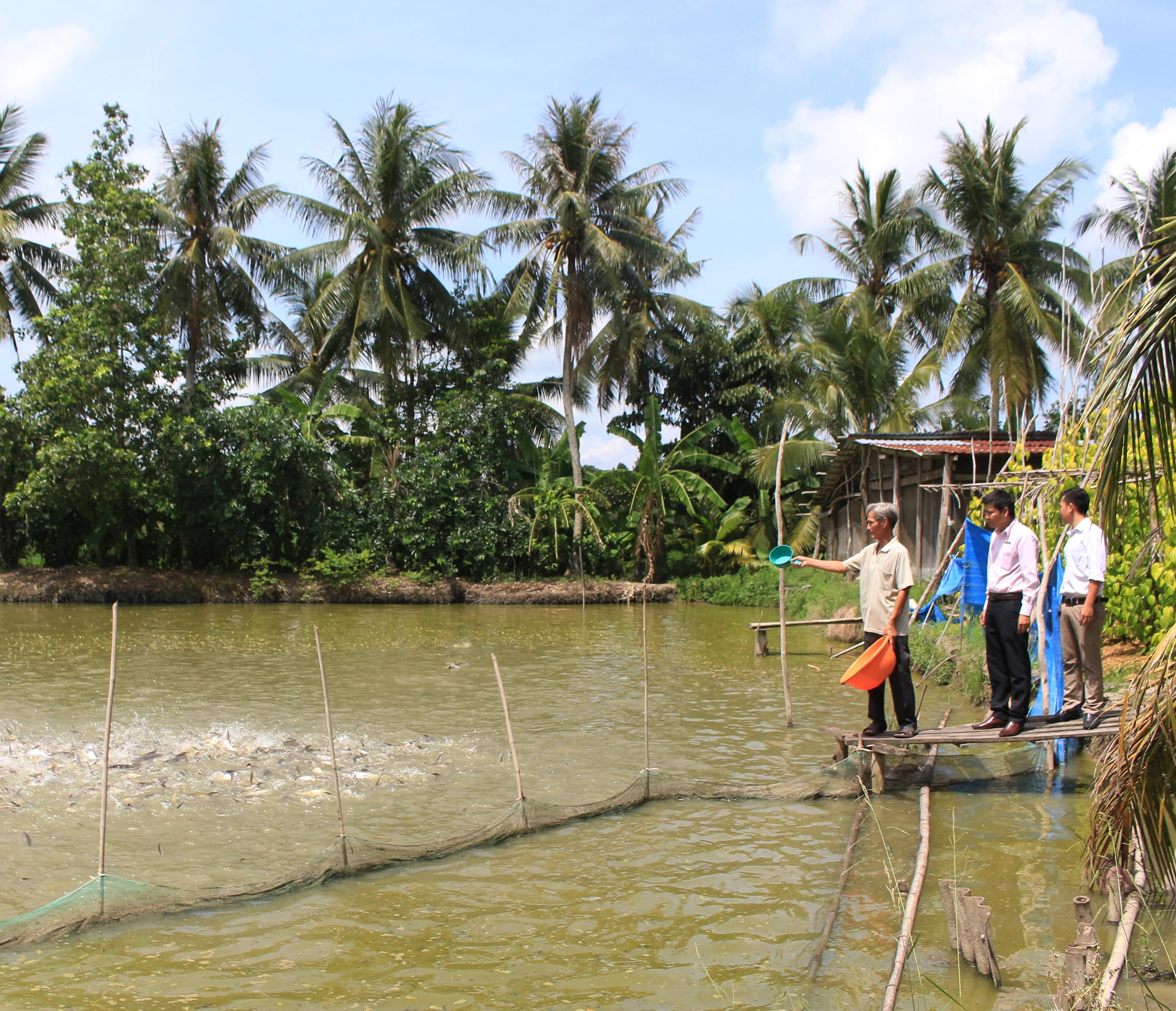 Hậu Giang đã làm gì để không có trường hợp tái nghèo?