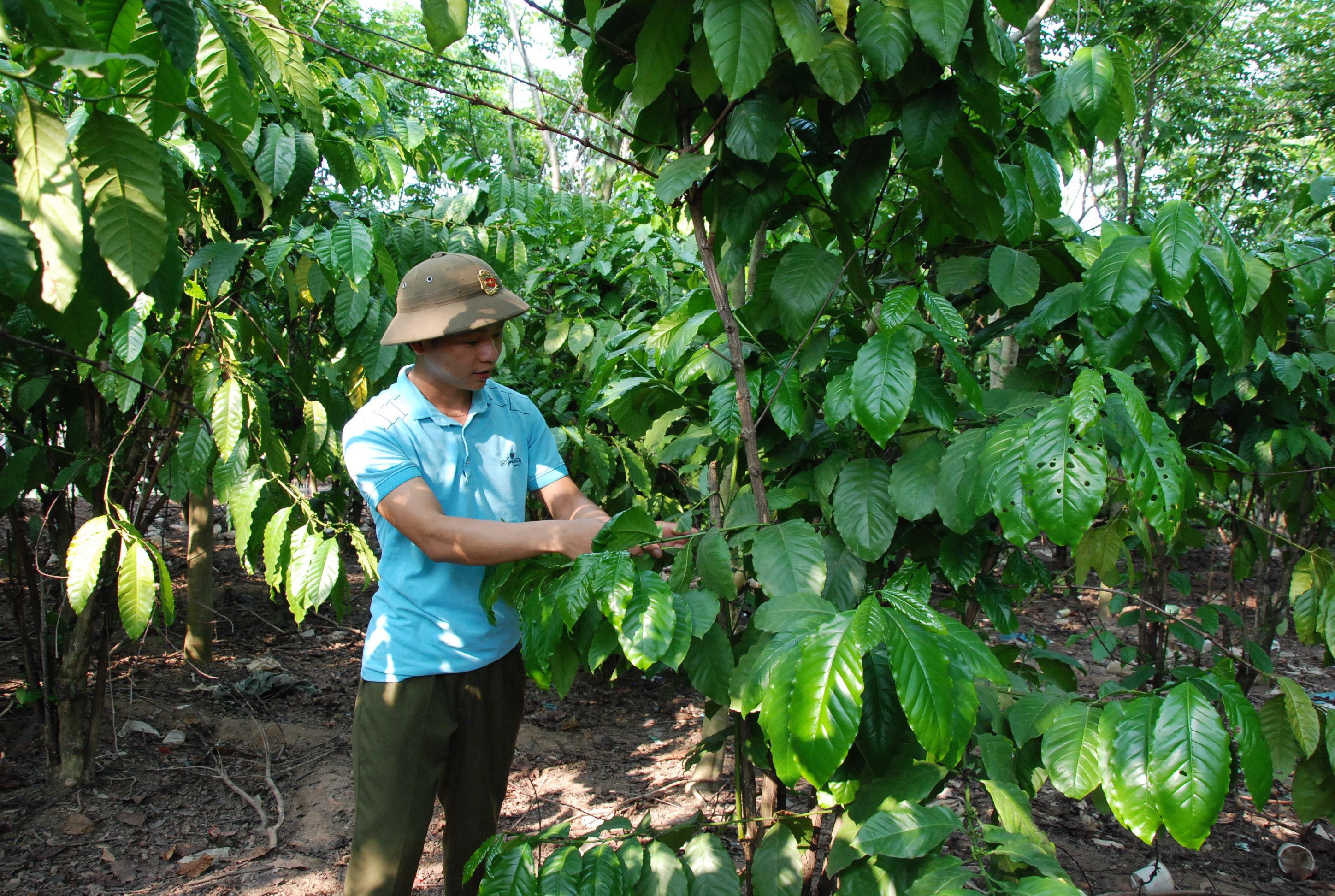 Chuyện anh Nông Văn Mông