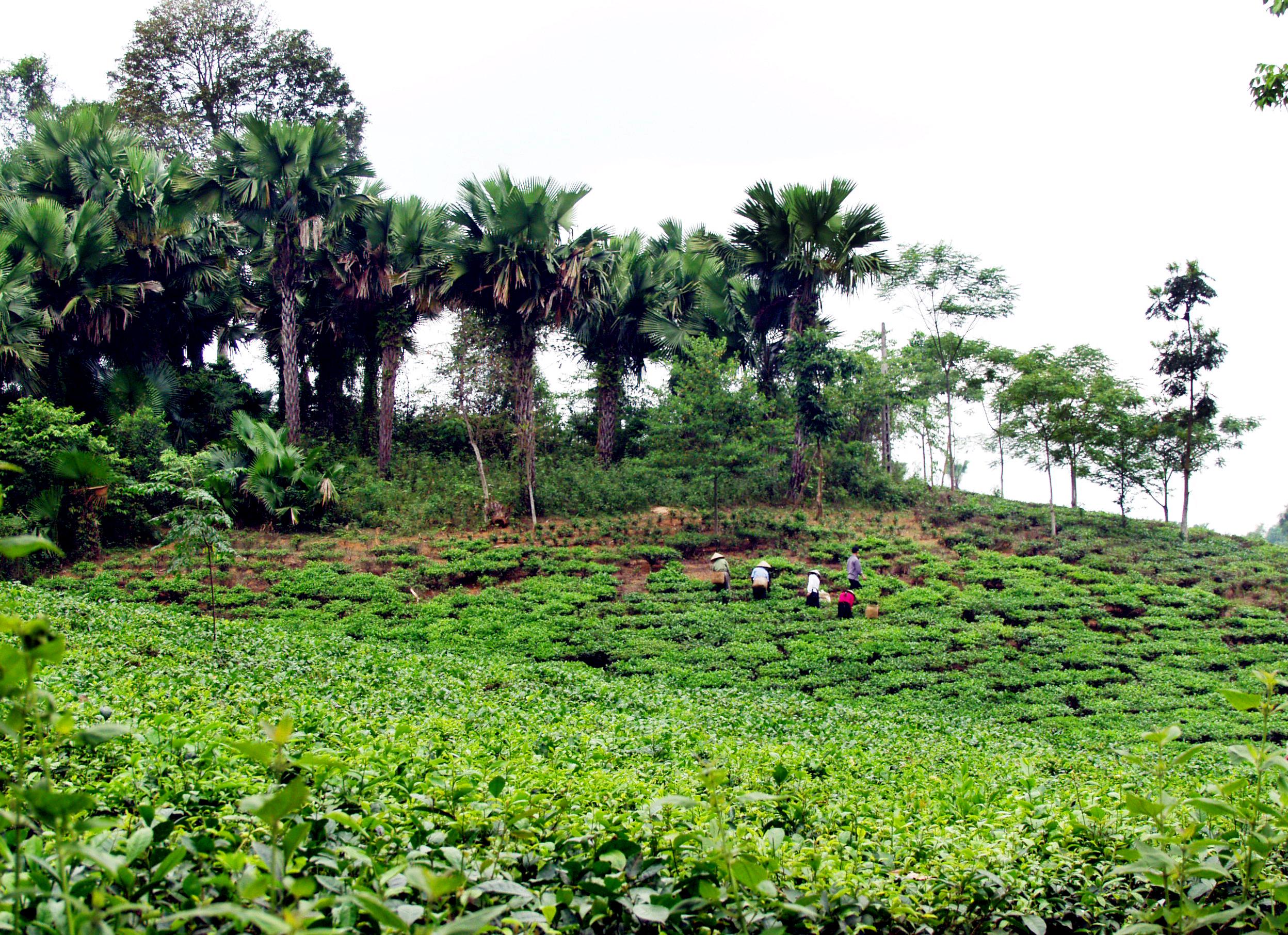 Bài 1: Một nghị quyết của ý Đảng, lòng dân