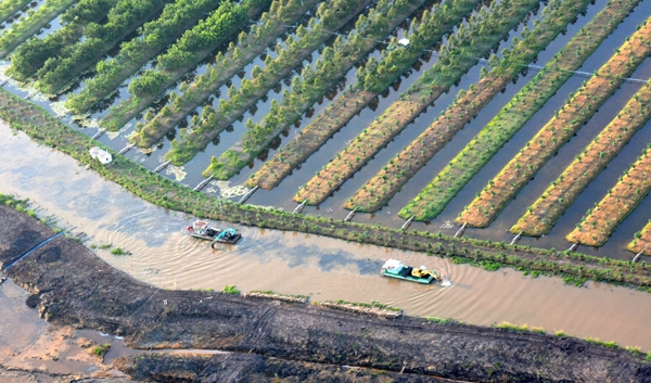 Hai chiếc máy xúc đang khơi thông dòng chảy.