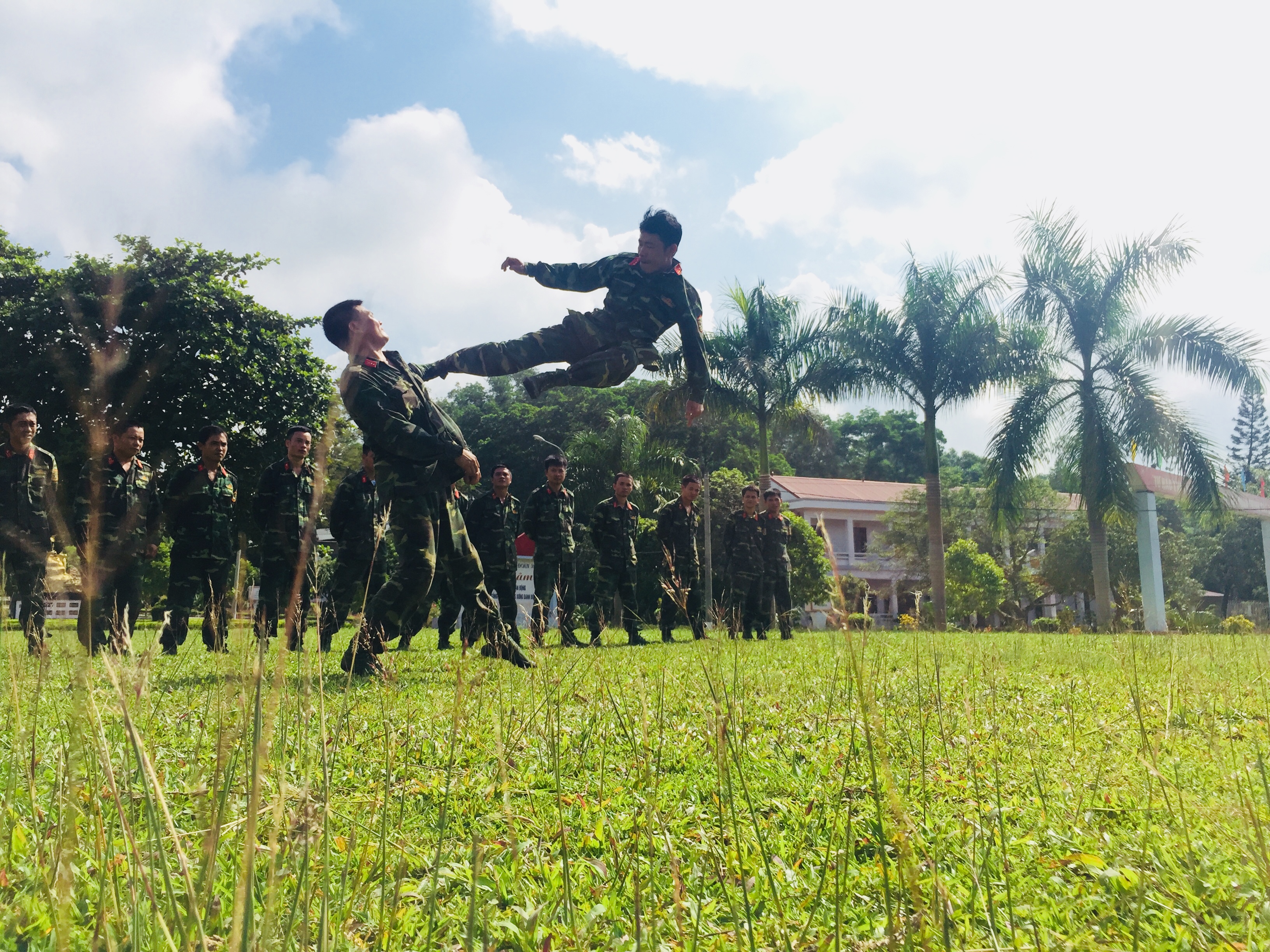 Luyện tập đánh đối kháng.