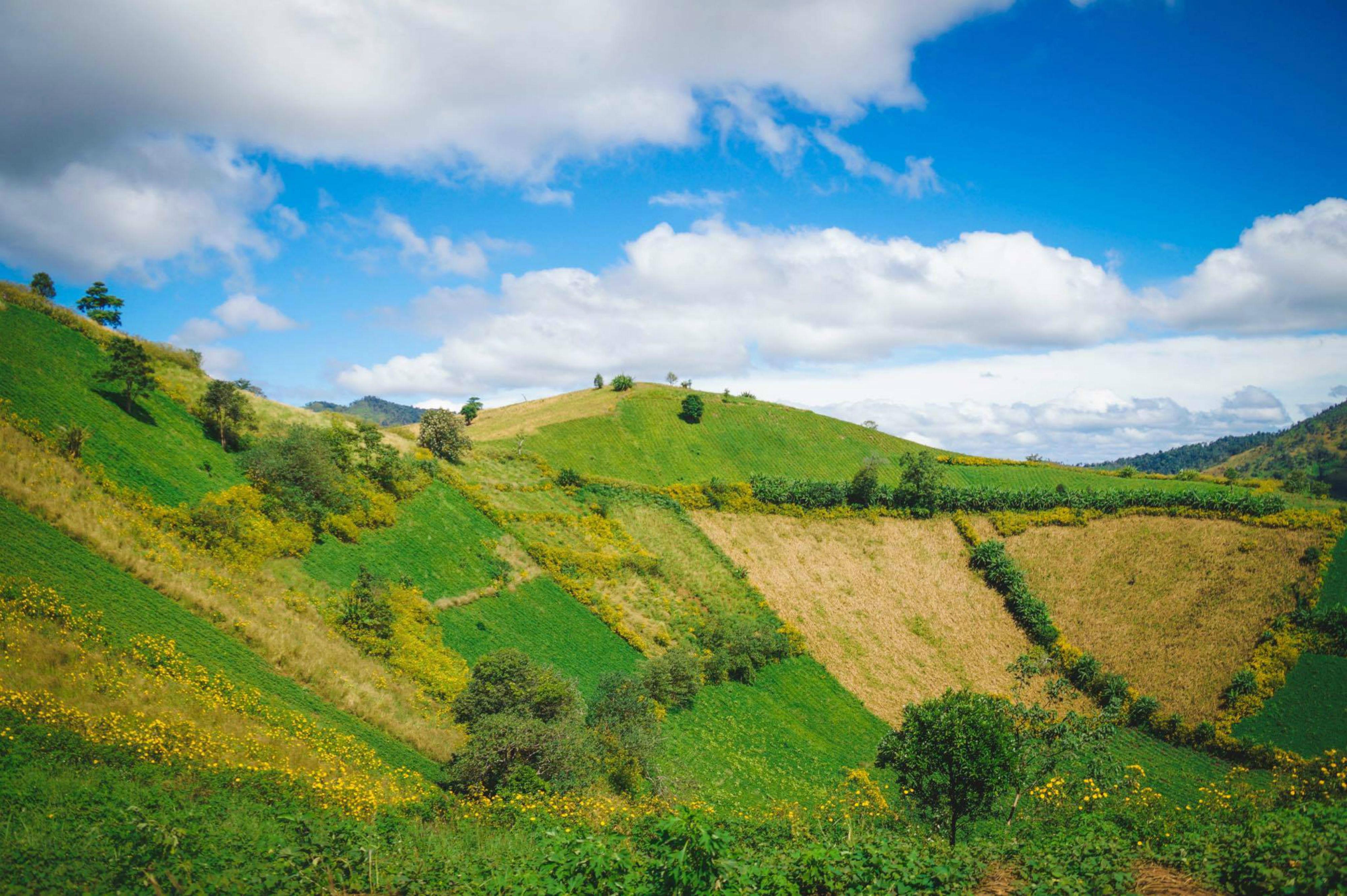 Sắc màu Chư Đăng Ya