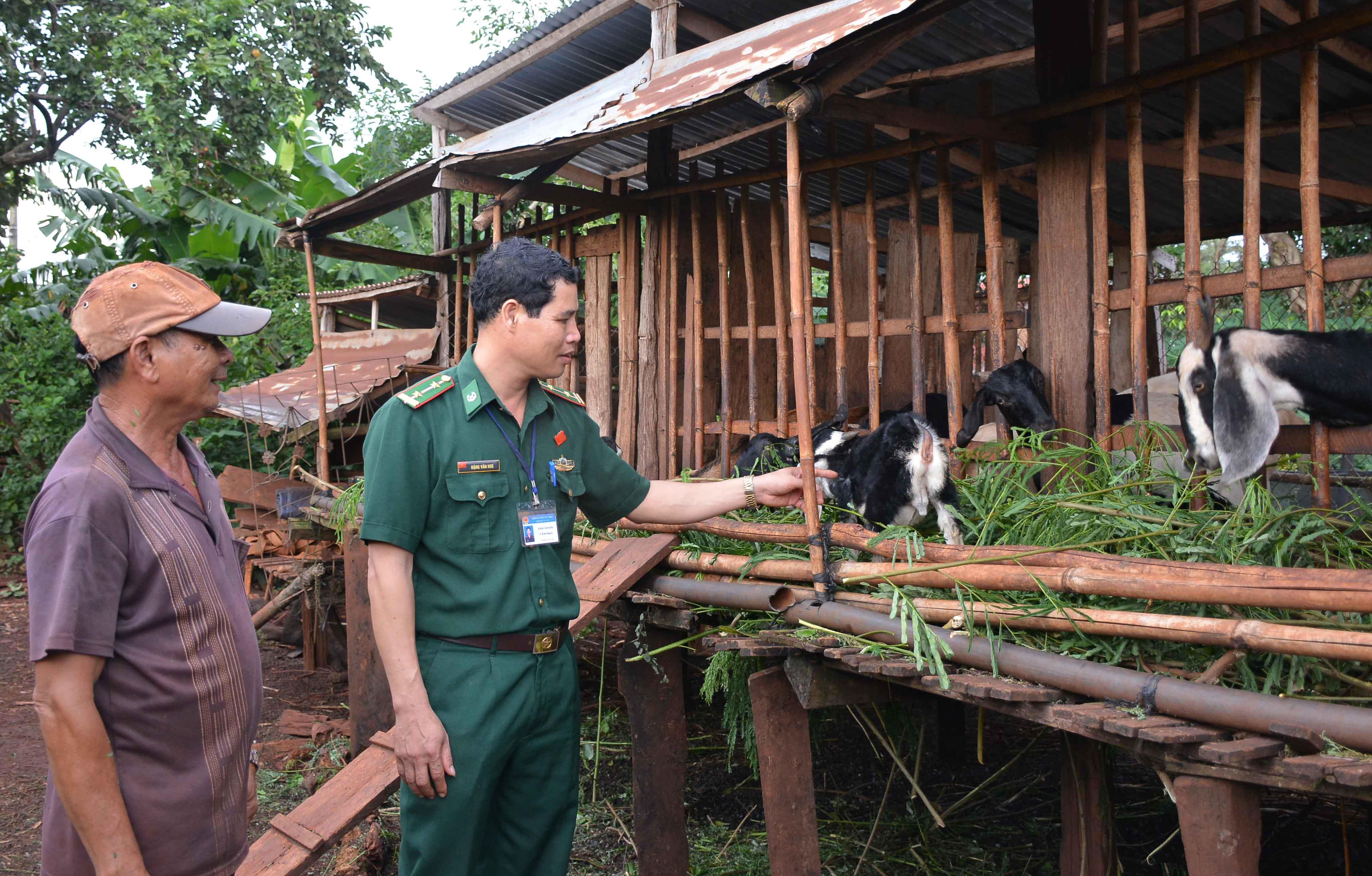 Bộ đội Hòe và 15 năm đồng hành với vùng biên

