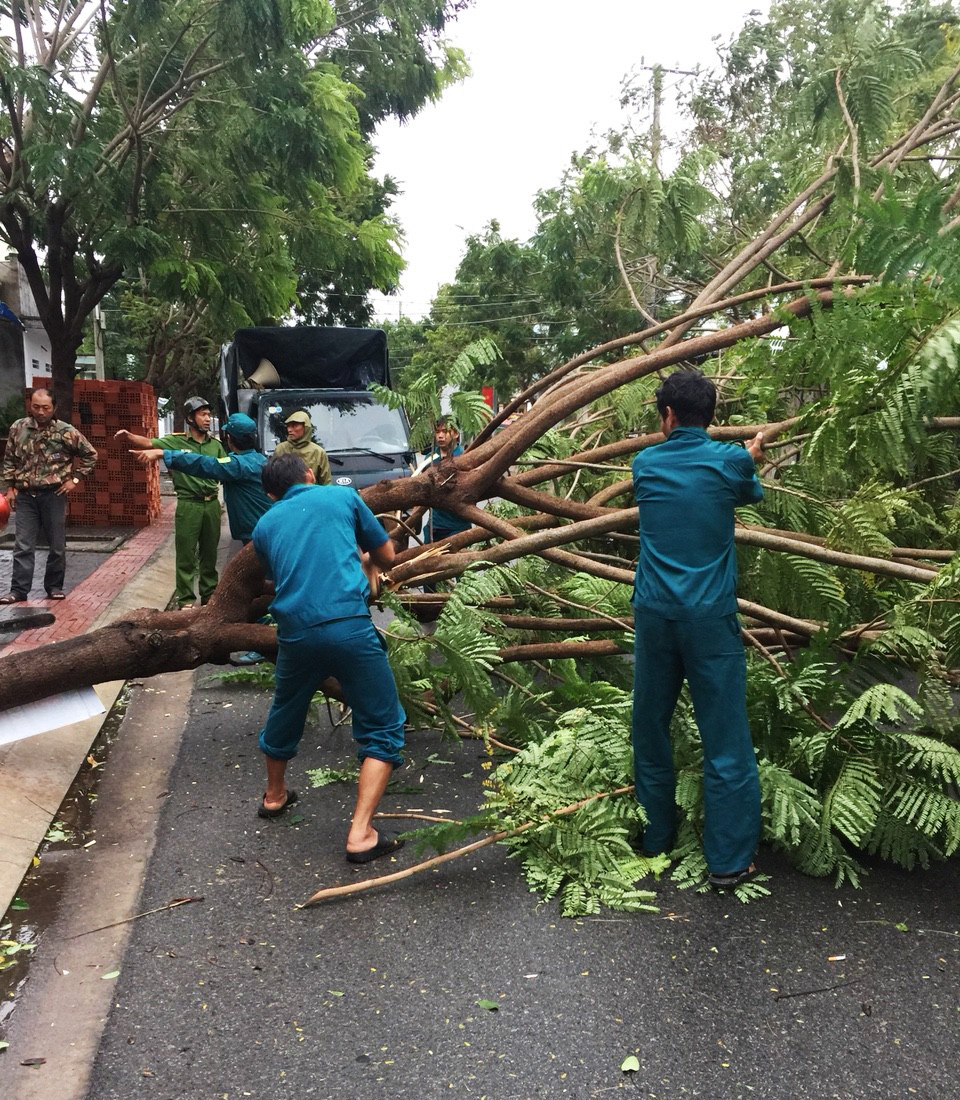 Bà Rịa-Vũng Tàu: Dân quân địa phương tham gia khắc phục hậu quả mưa bão