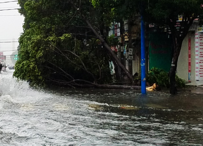 Bà Rịa-Vũng Tàu: Nhanh chóng khắc phục hậu quả mưa bão