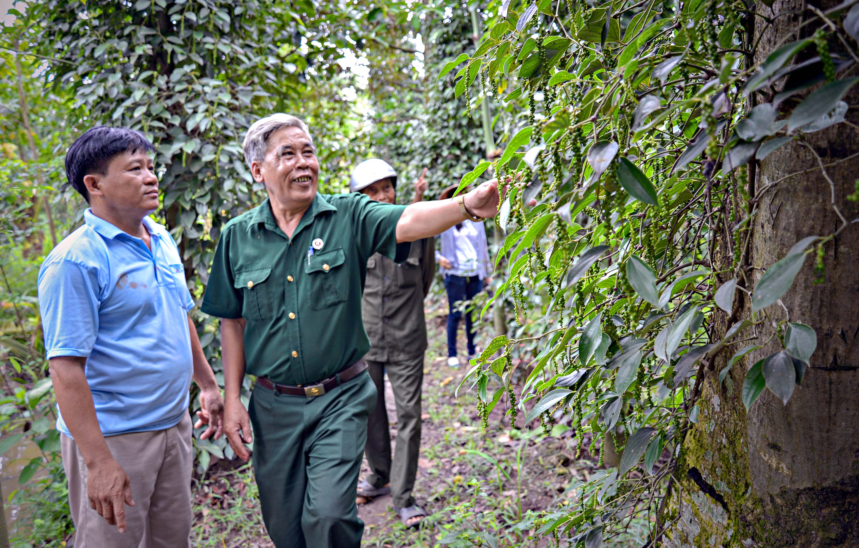 Hội Cựu chiến binh các tỉnh, thành phố khu vực nam sông Hậu tổng đạt hơn 94% các chỉ tiêu thi đua