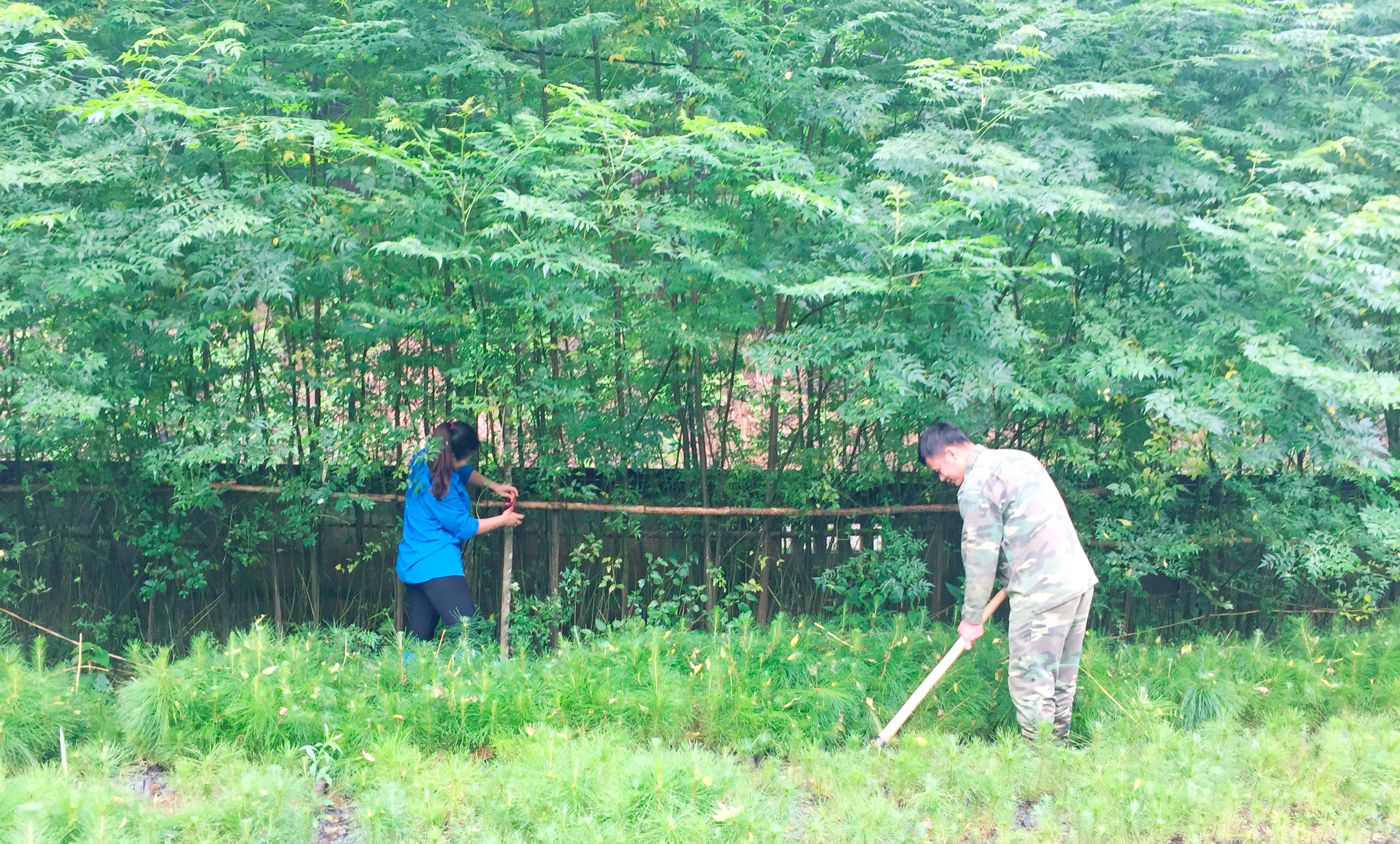 Giúp nhân dân bằng những việc làm thiết thực