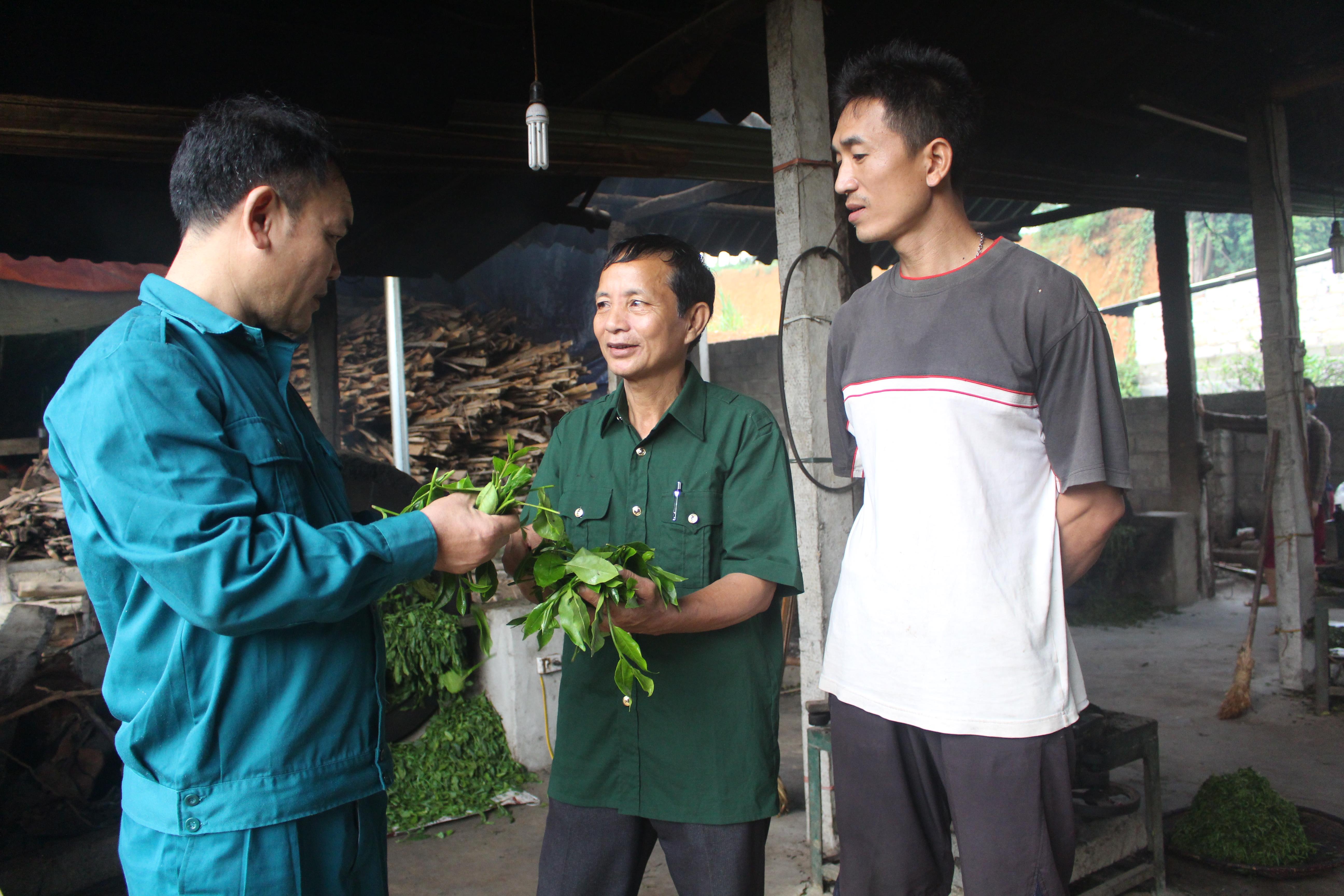 Ông Thành thương binh và câu chuyện xóa nghèo ở Minh Tiến