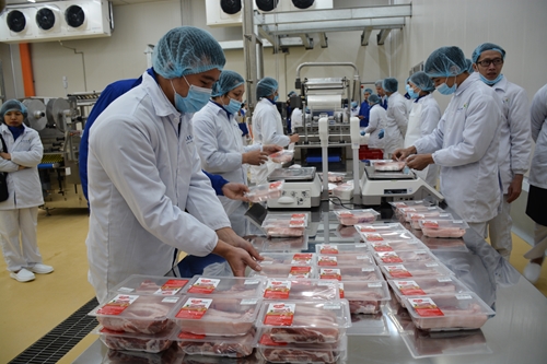 Khánh thành tổ hợp chế biến thịt hàng đầu thế giới tại tỉnh Hà Nam