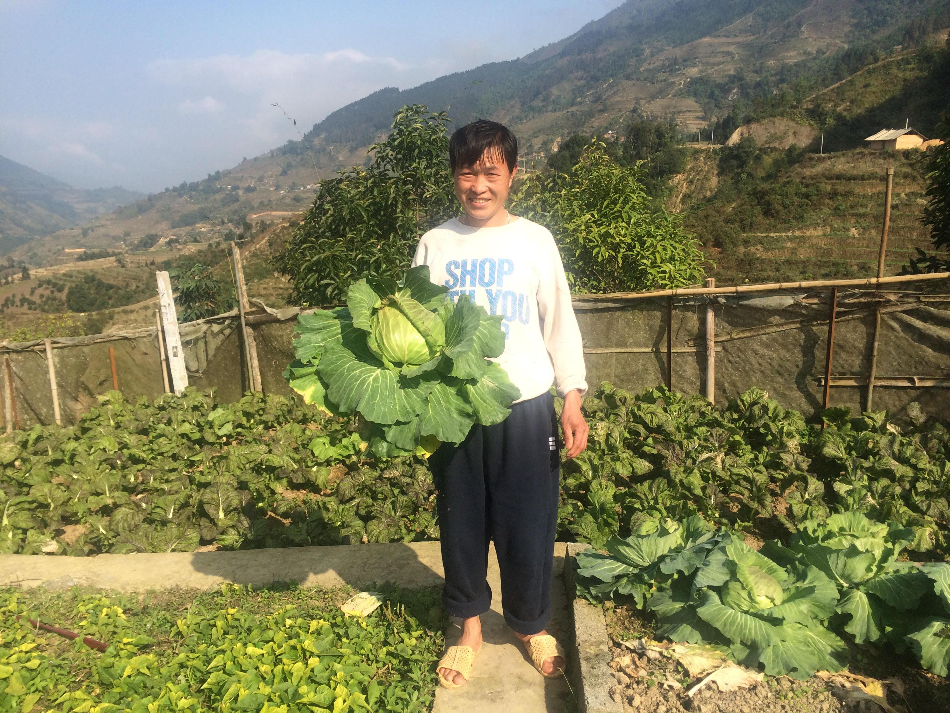 Niềm vui ở Lao Chải