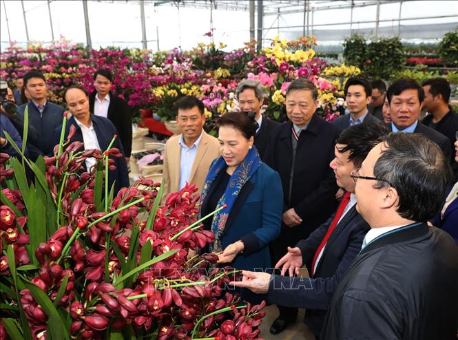 Chủ tịch Quốc hội Nguyễn Thị Kim Ngân thăm xã nông thôn mới tại tỉnh Hưng Yên