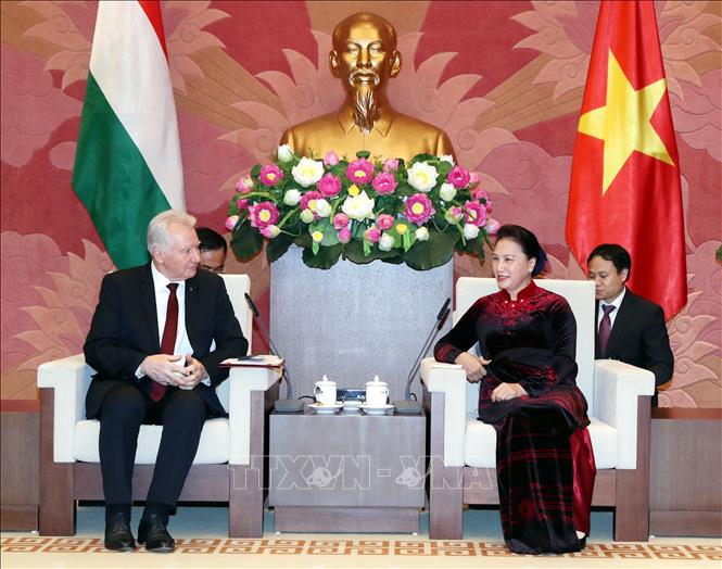 Chủ tịch Quốc hội Nguyễn Thị Kim Ngân tiếp Phó chủ tịch Quốc hội Hungary