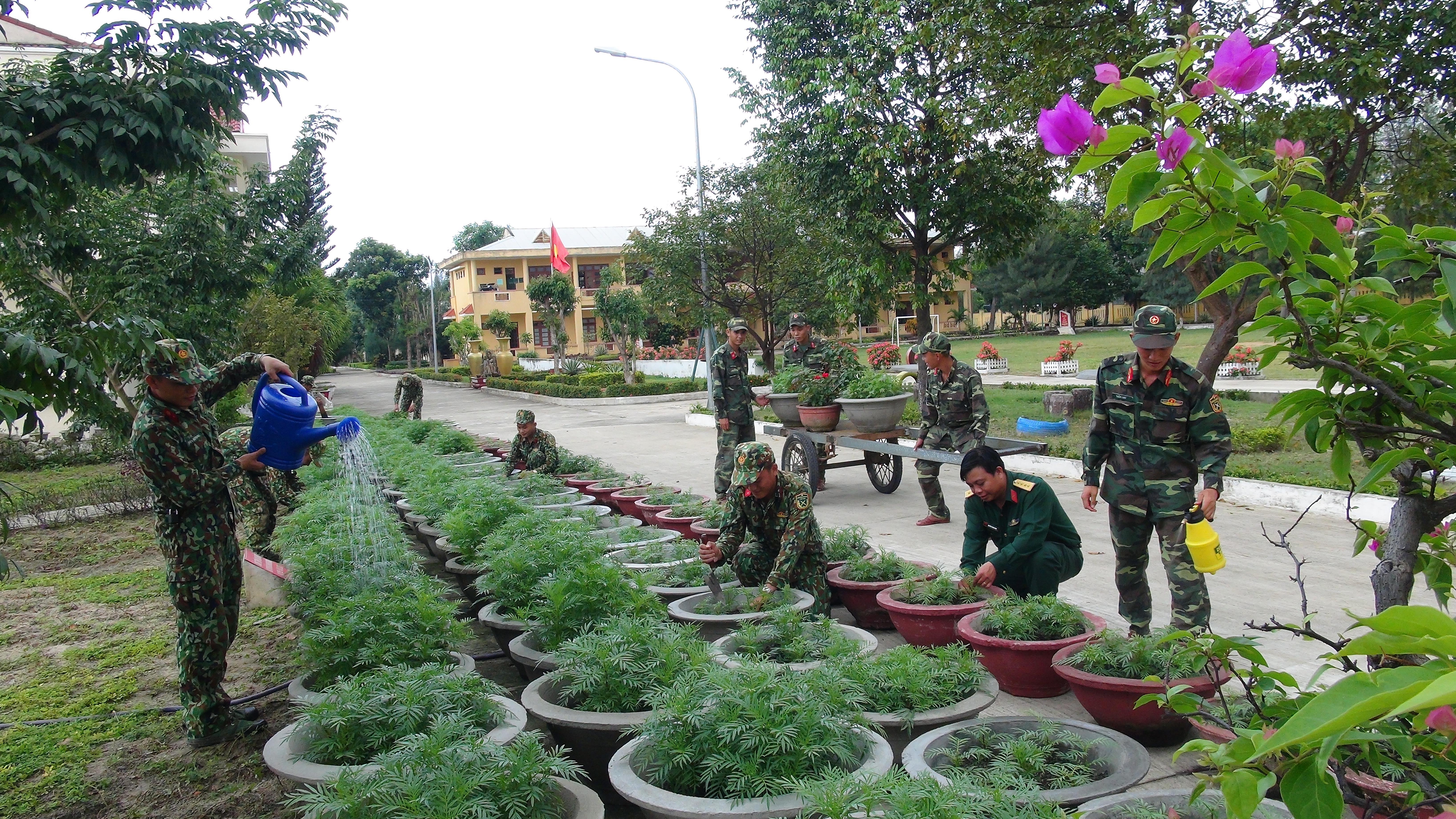 Xuân sớm ở đơn vị ra đời ngày 3-2