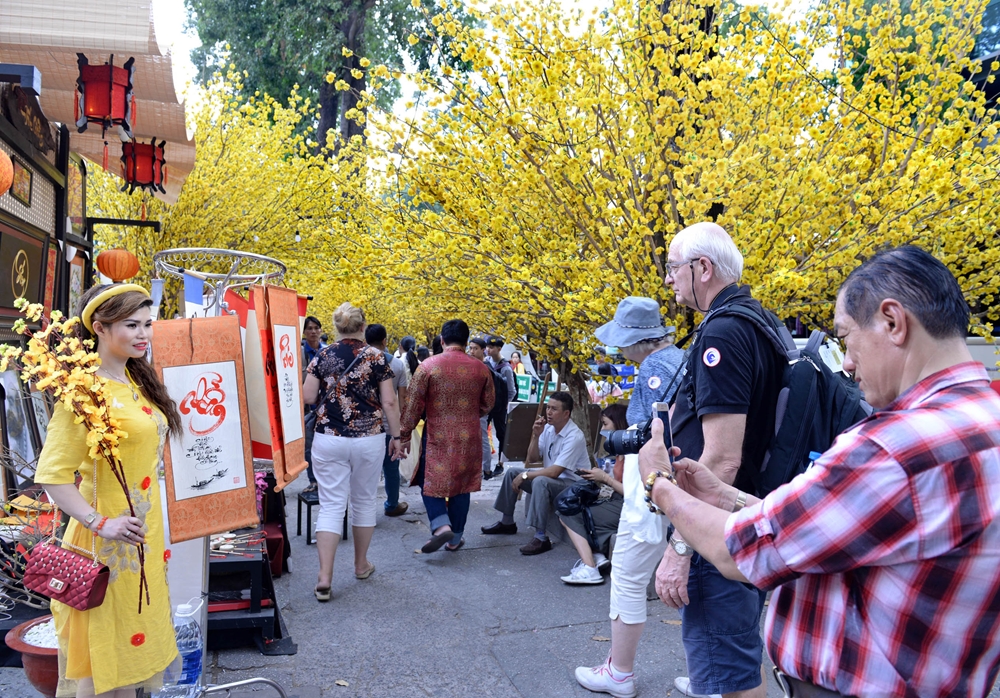 Sắc vàng của hoa mai hiện diện ở khắp nơi.