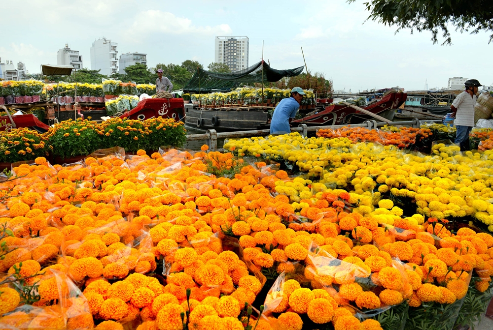 Một góc chợ hoa trên bến, dưới thuyền rực sắc vàng.