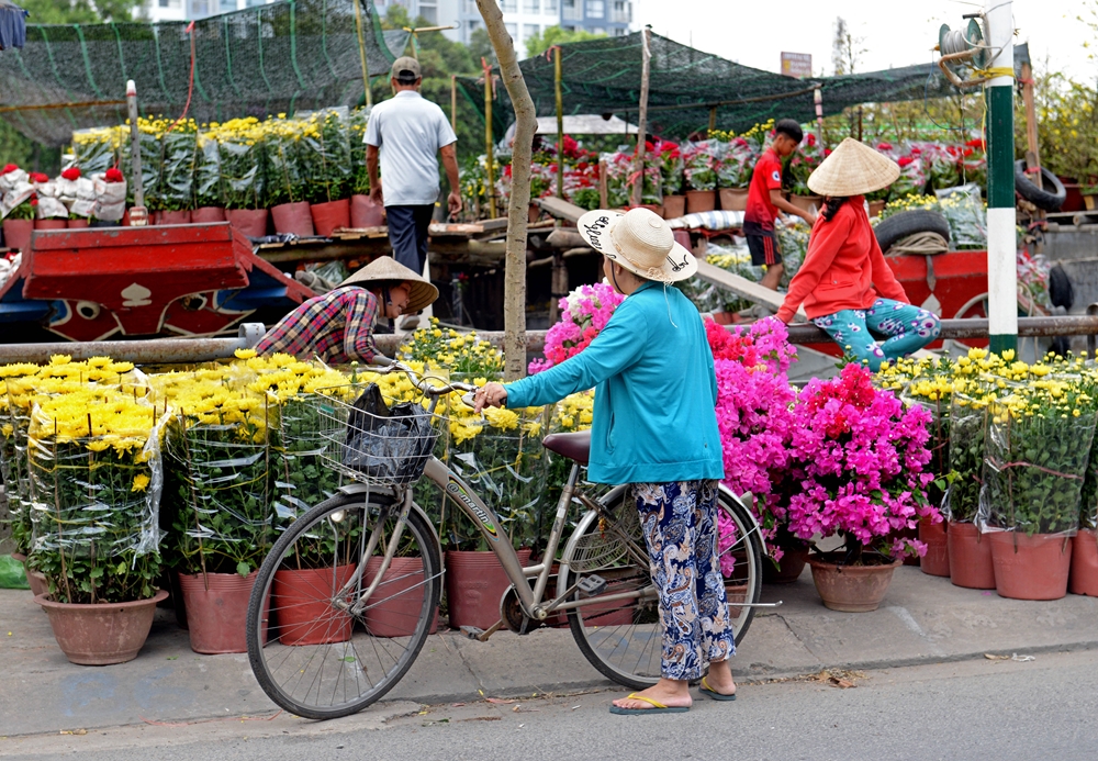 Người đi đường có thể dừng lại để ngắm và chọn hoa cho ngày Tết.