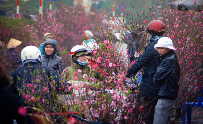 Chợ hoa Quảng Bá nằm trong top những điểm đón Tết lý tưởng trên thế giới