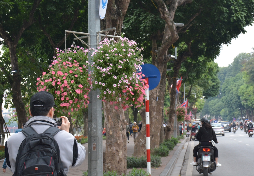 Hà Nội cũng trang trí rất nhiều hoa để tô điểm thêm vẻ đẹp của thành phố.