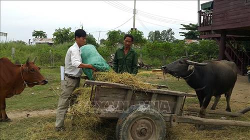 Cán bộ, đảng viên gương mẫu, đi đầu trong phát triển kinh tế - xã hội

