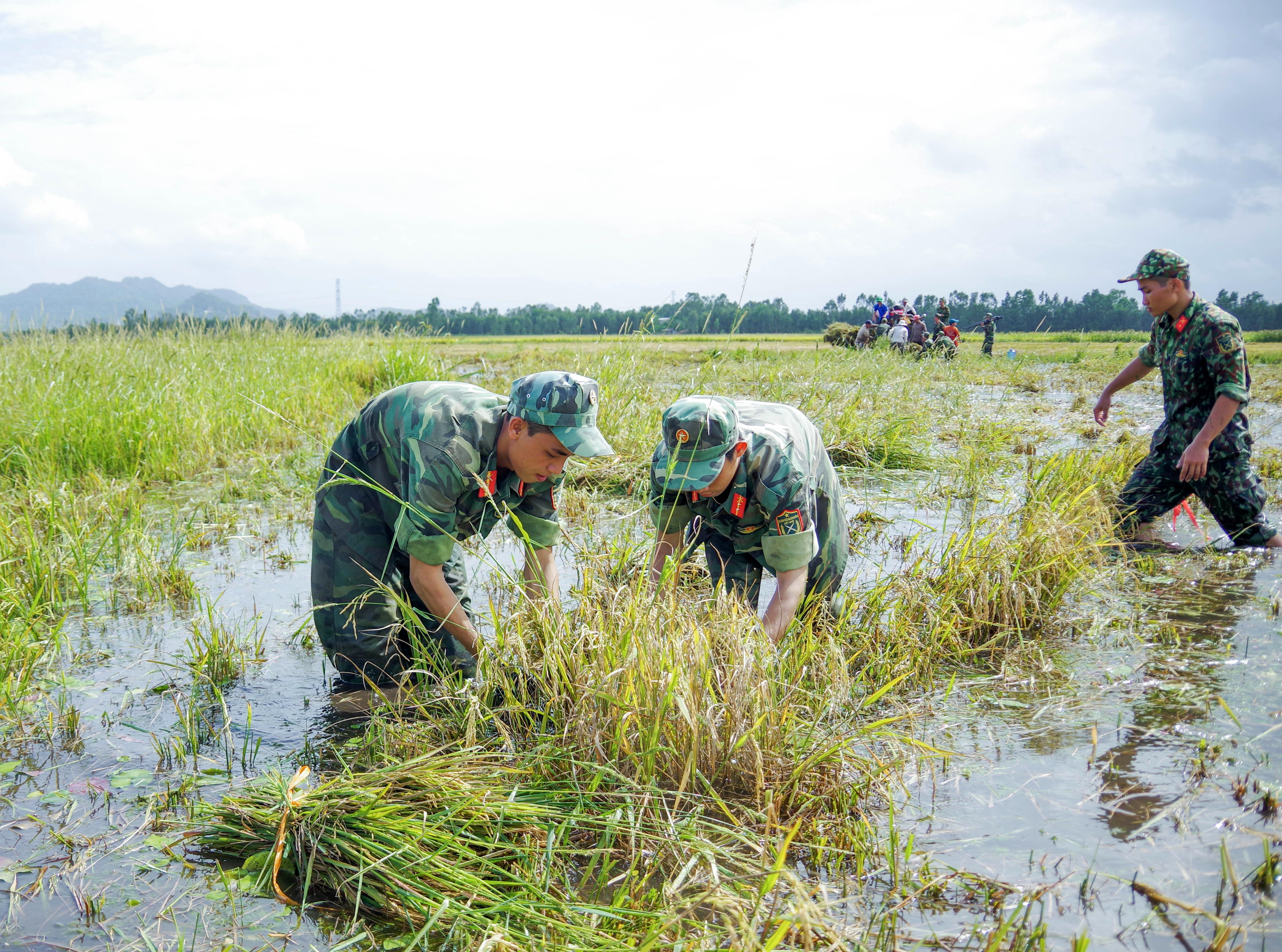 Thanh niên Quân khu 9 và những việc làm thiết thực, ý nghĩa

