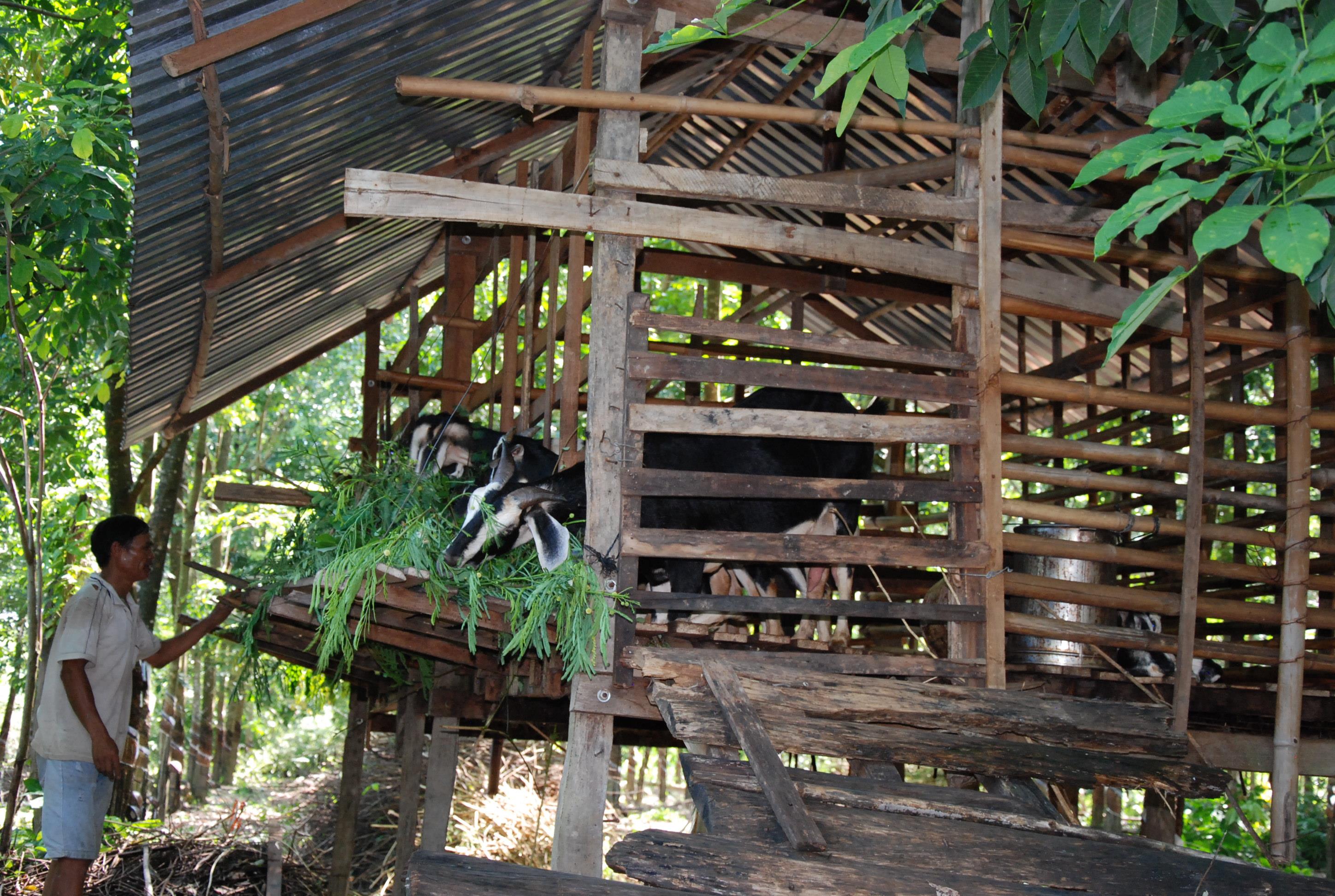 Nâng cao đời sống đồng bào vùng biên giới