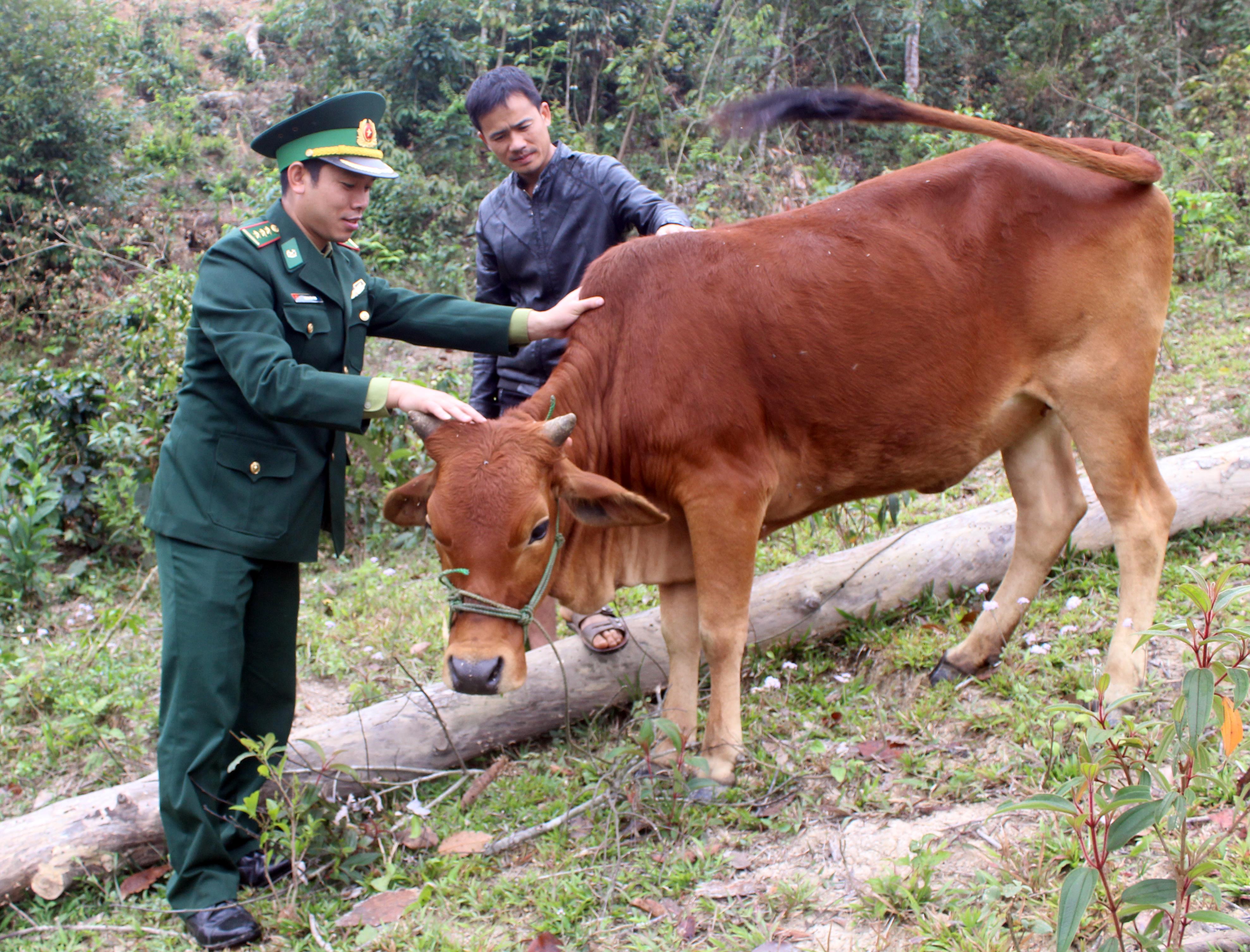 “Ruột thịt” ở Mường Lạn