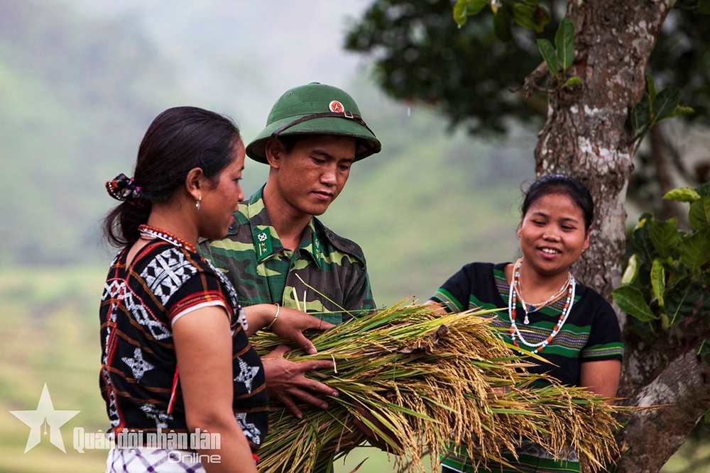 Cán bộ Đồn Biên phòng Axan, Bộ đội Biên phòng tỉnh Quảng Nam, giúp đồng bào dân tộc Cơ Tu, xã Axan, huyện Tây Giang thu hoạch lúa.
