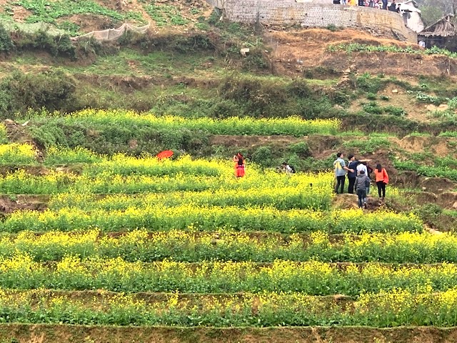 Bình yên Cát Cát