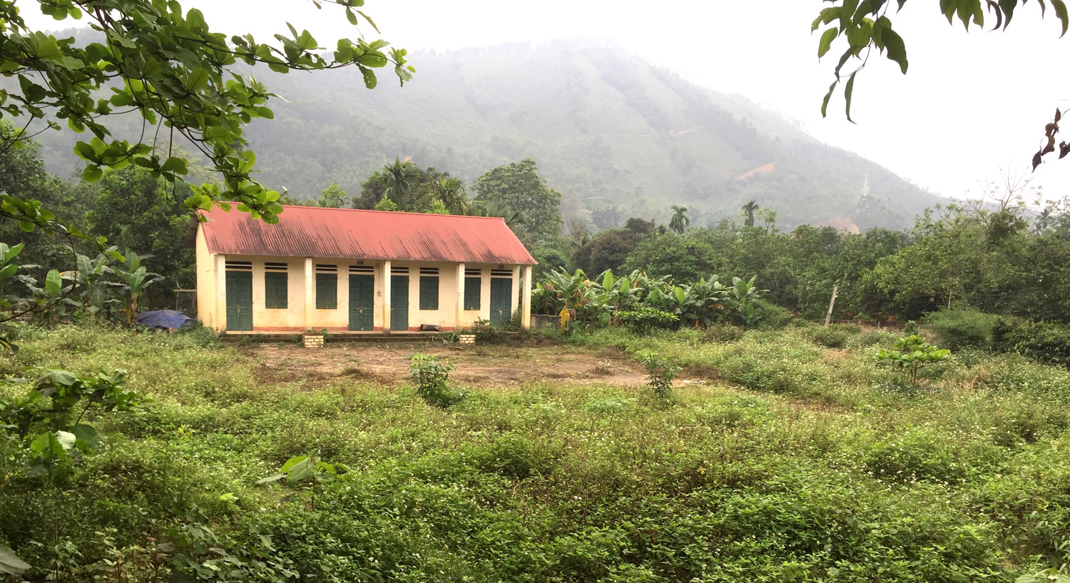 Thông tin từ đường dây nóng