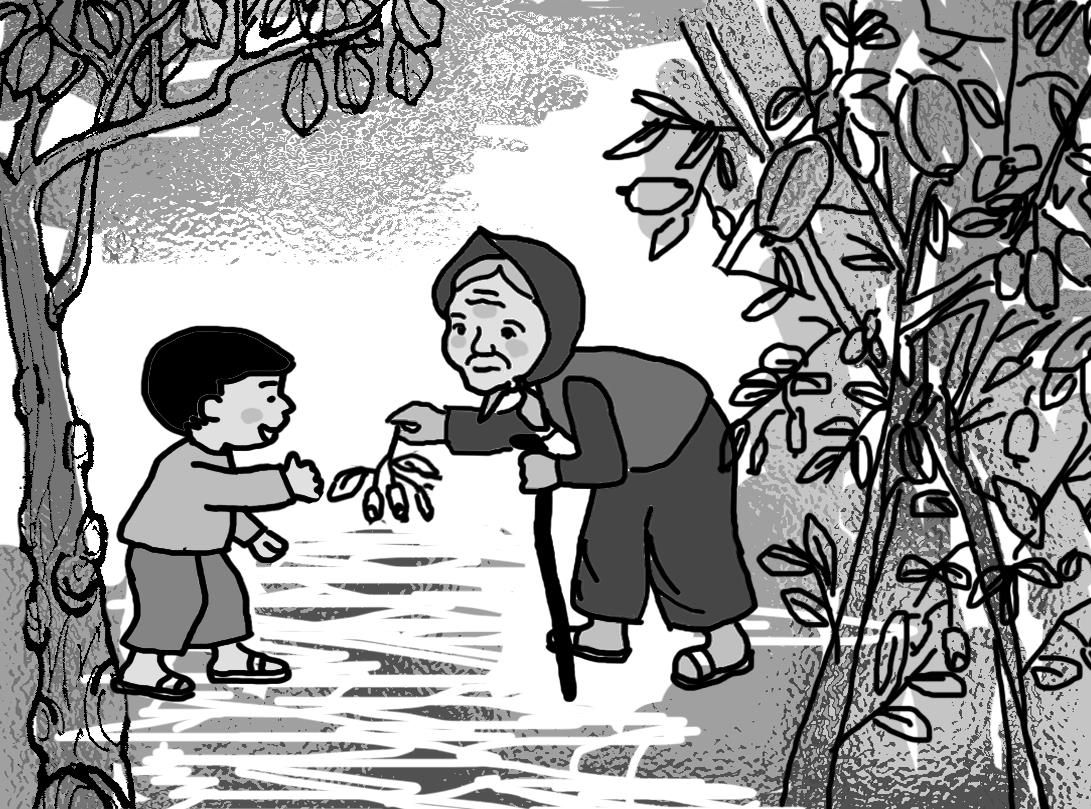 Nhót chín vườn bà…