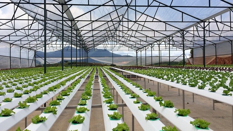 Bước đột phá từ những “nghị quyết xanh” ở Lâm Đồng