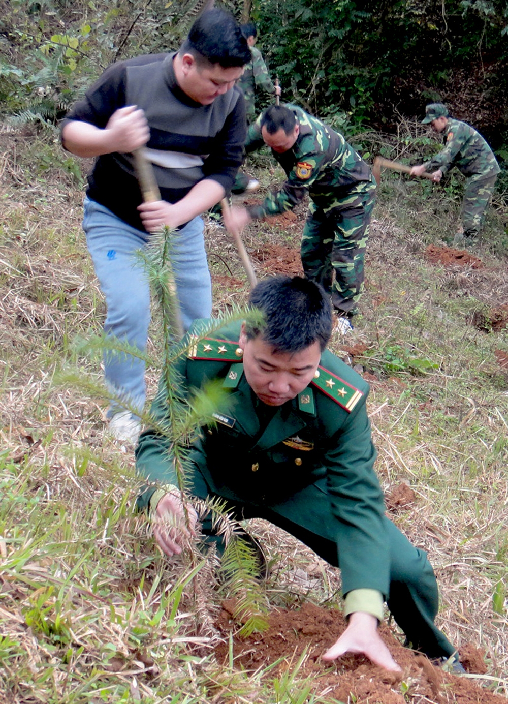 Cùng đồng bào tích cực phủ xanh đồi núi trọc.