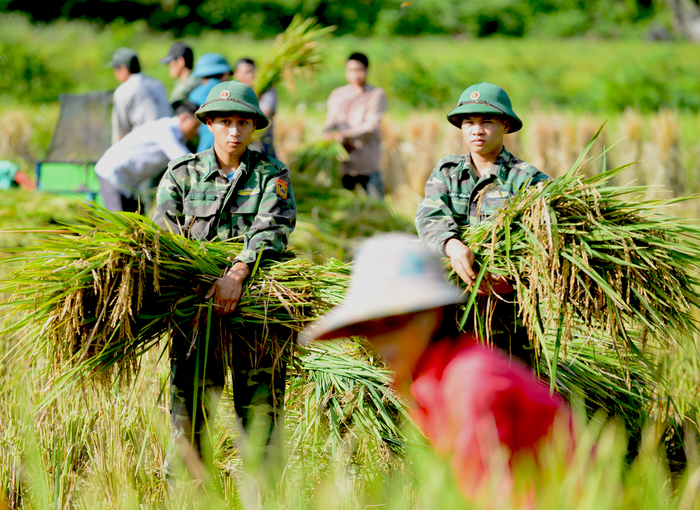 Bộ đội Biên phòng Cao Bằng “4 cùng” với dân bản