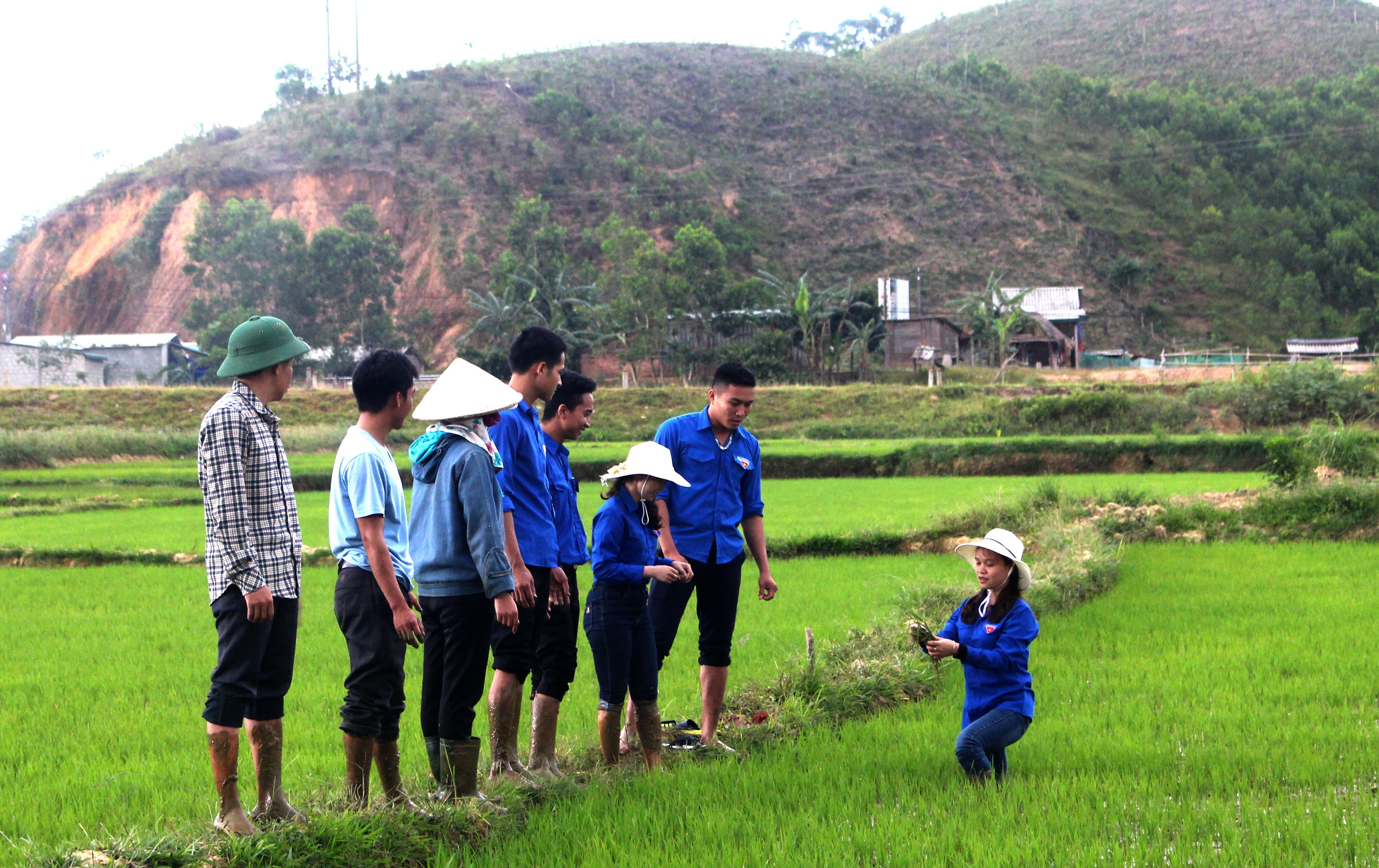 Sức trẻ tình nguyện tạo khởi sắc biên cương 

