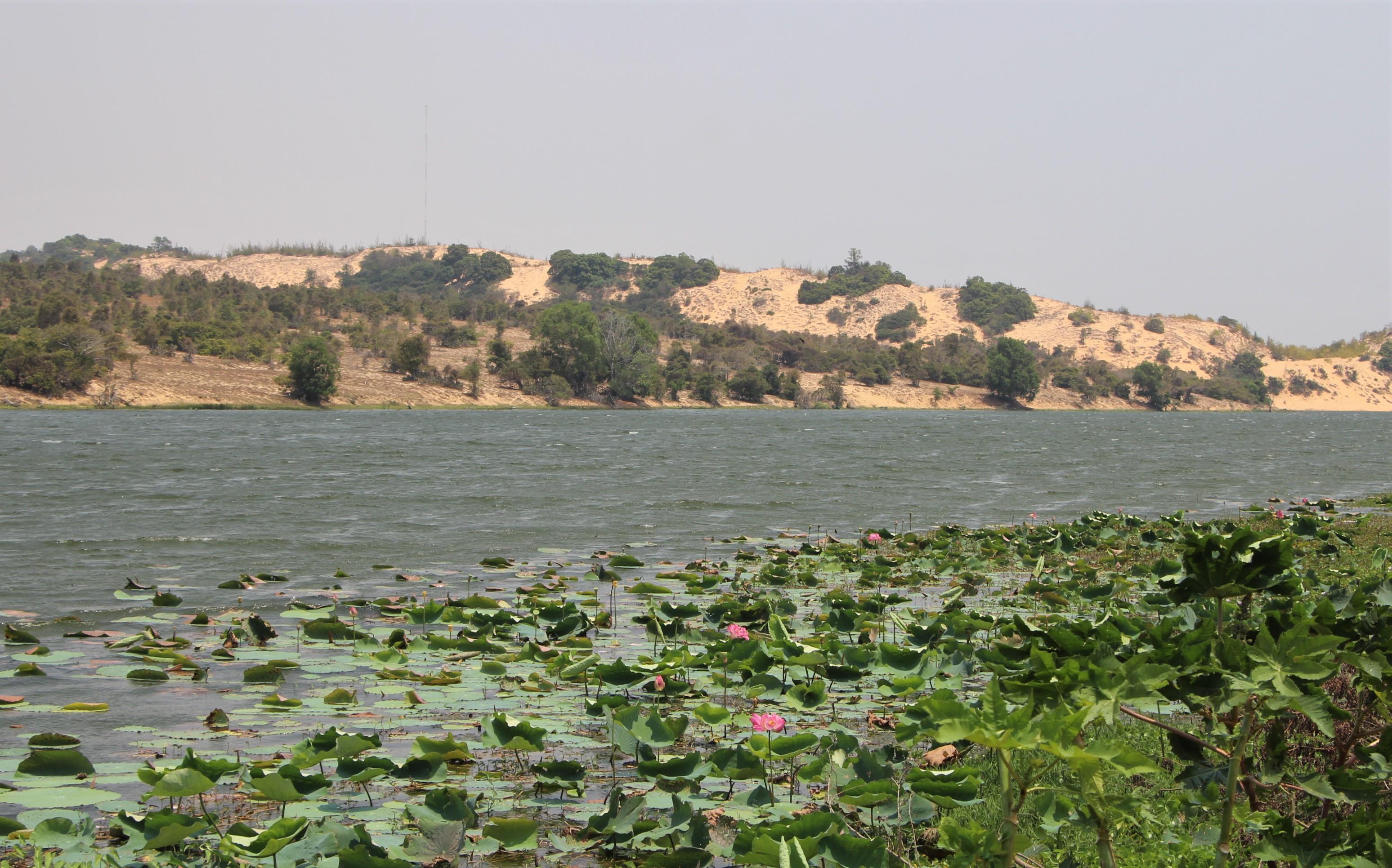 “Ảo ảnh” giữa sa mạc Bình Thuận