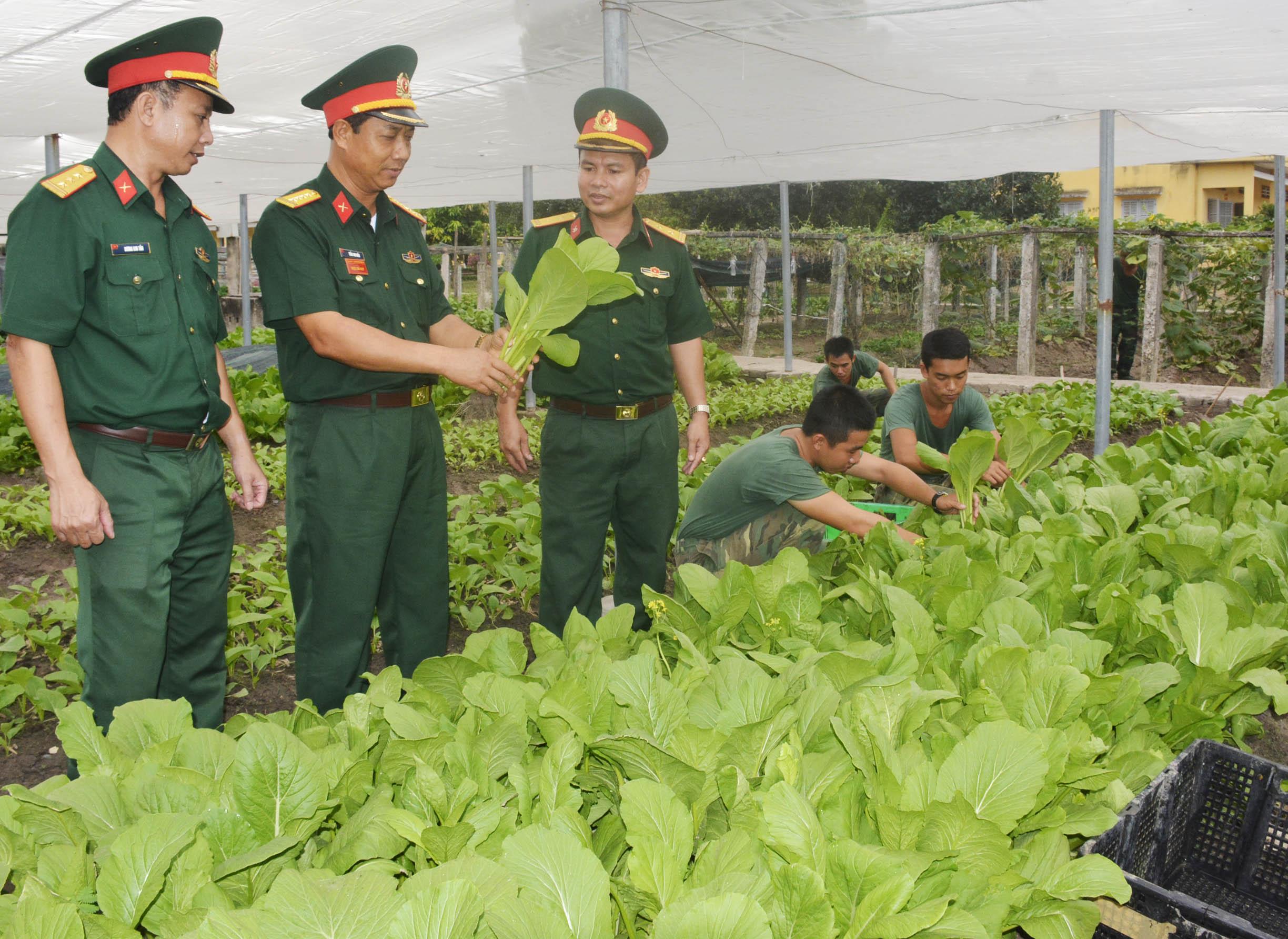 Tăng gia sản xuất sáng tạo, hợp lý

