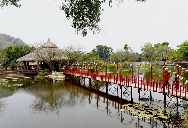  Mùa hè trên Núi Cấm  