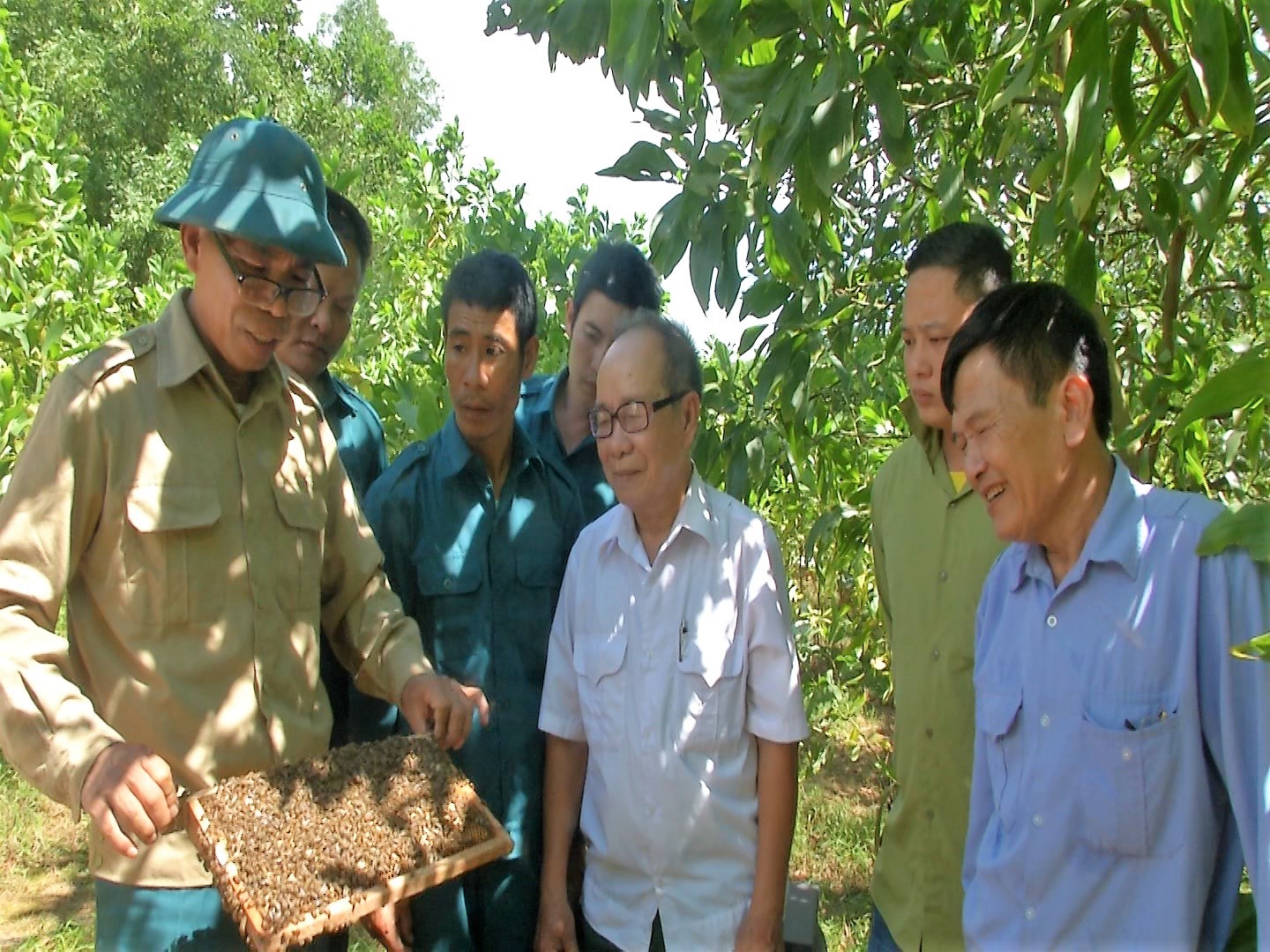 Đàn ong xóa đói giảm nghèo của người chỉ huy trưởng