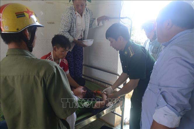 Nghệ An: Cứu chữa kịp thời một phụ nữ bị ngộ độc do ăn lá ngón