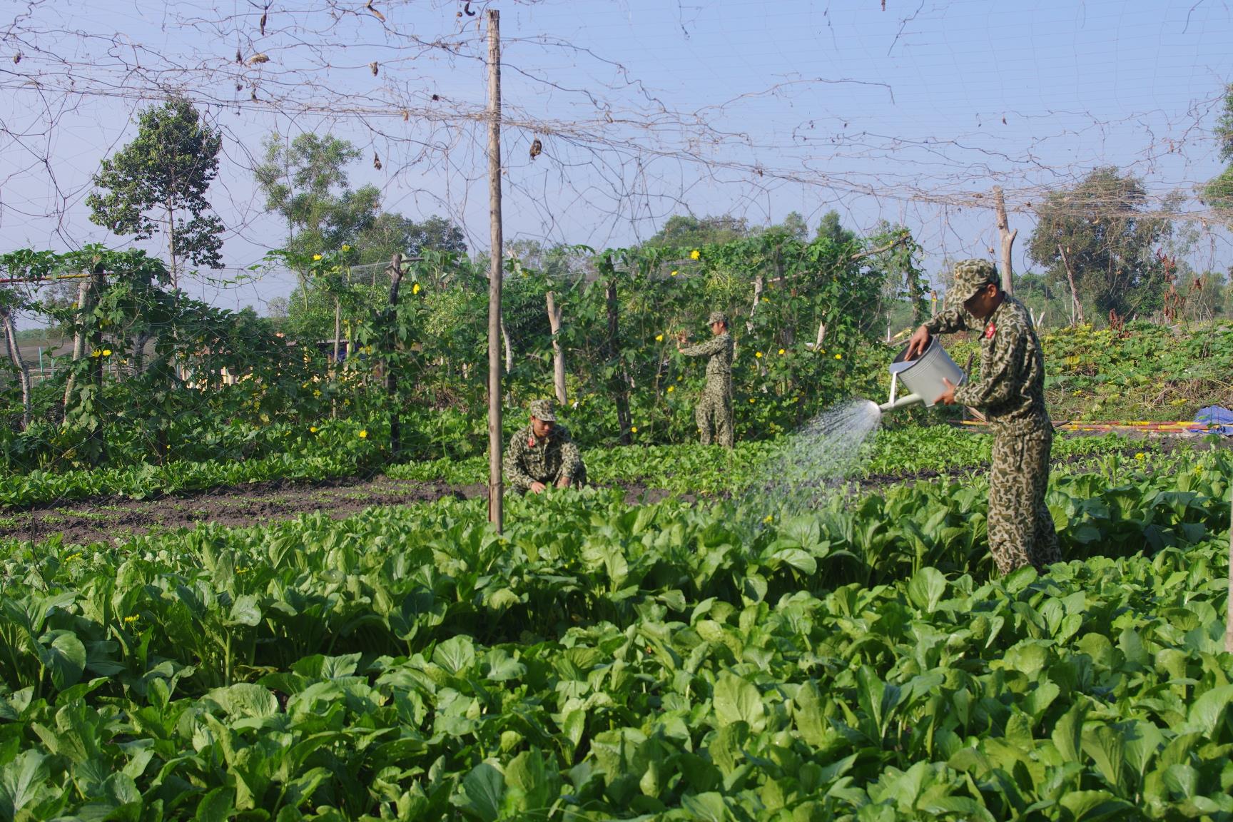  Chủ động bảo đảm thực phẩm sạch tại chỗ

