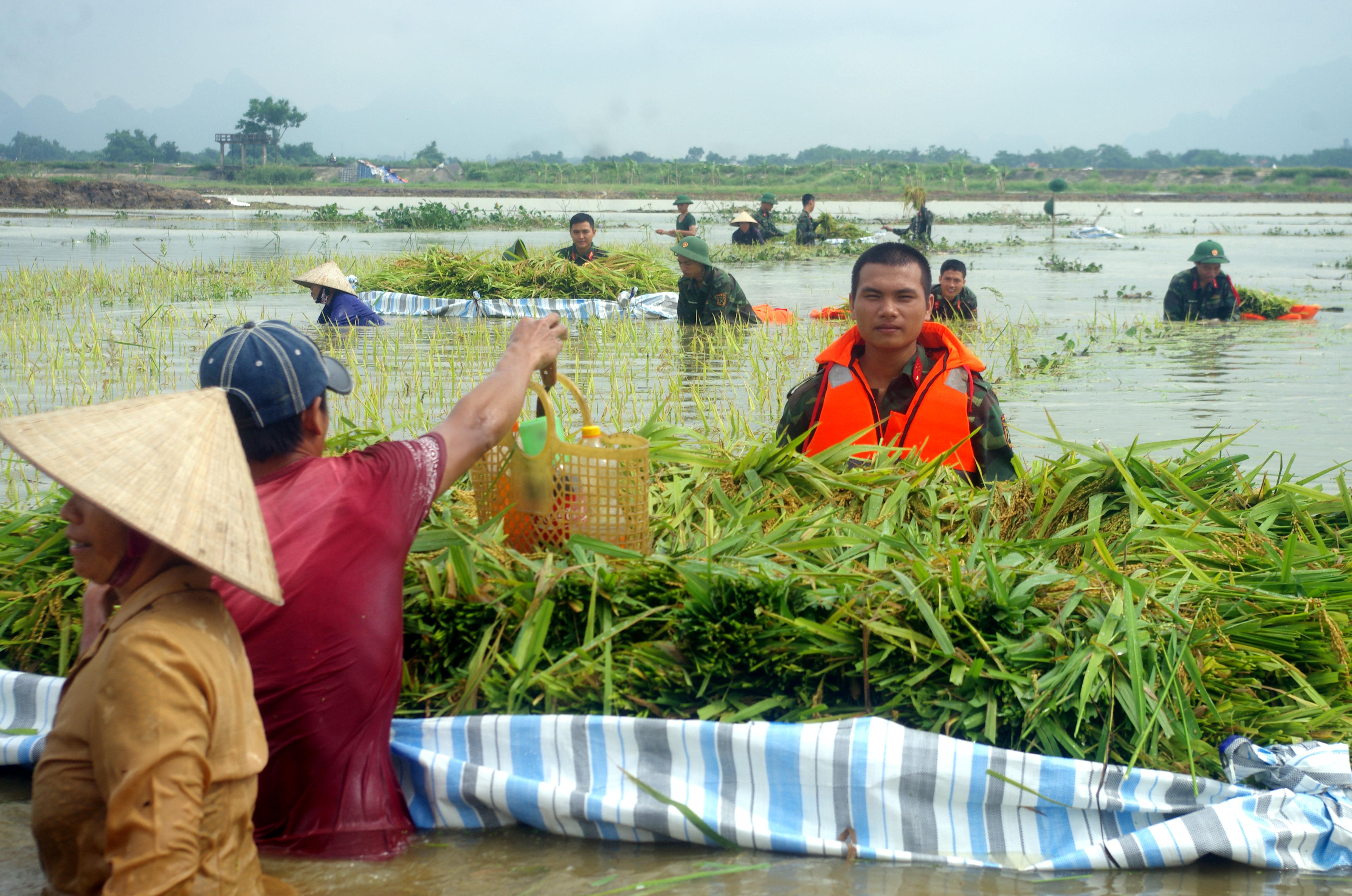 Chỗ dựa vững chãi của nhân dân