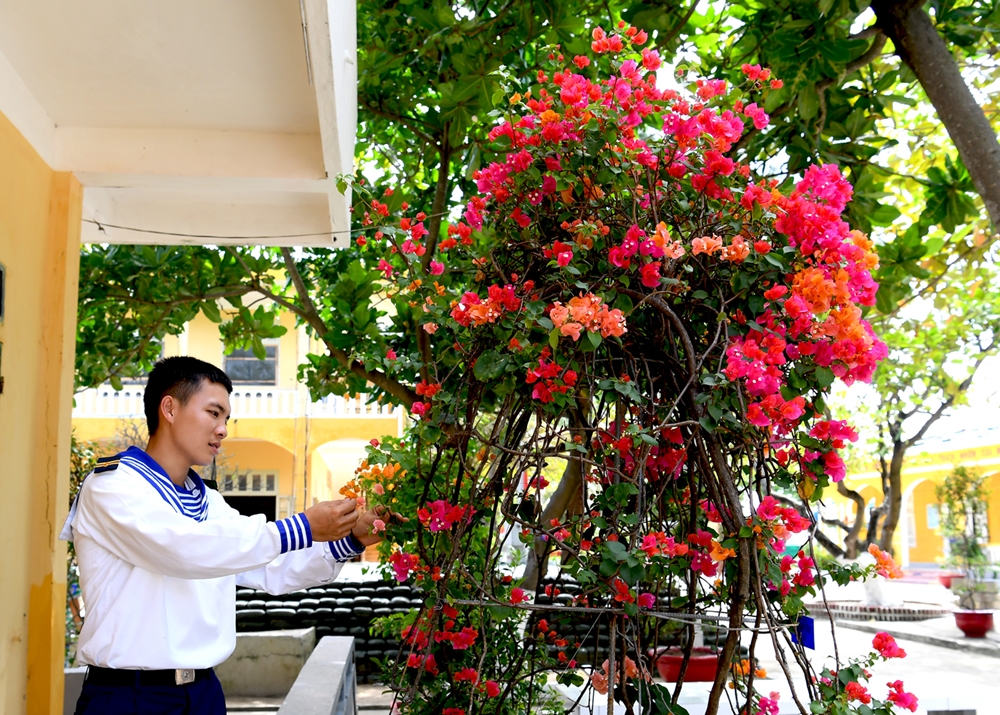 Những bồn hoa, cây cảnh, cây xanh trên đảo được trồng thêm thường xuyên và chăm bón, cắt tỉa rất tỉ mỉ, cẩn thận.