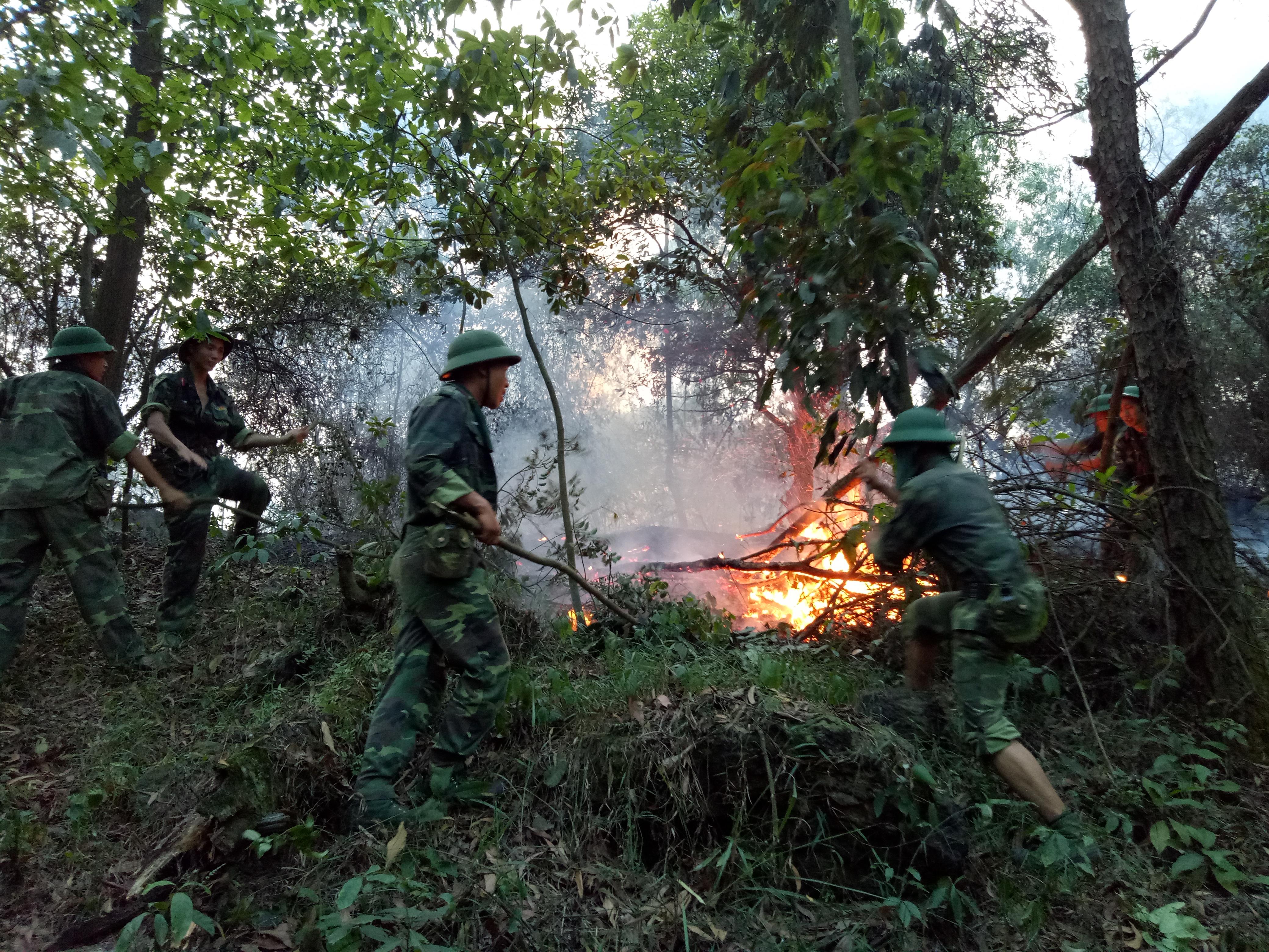 Giúp dân thiết thực, nghĩa tình