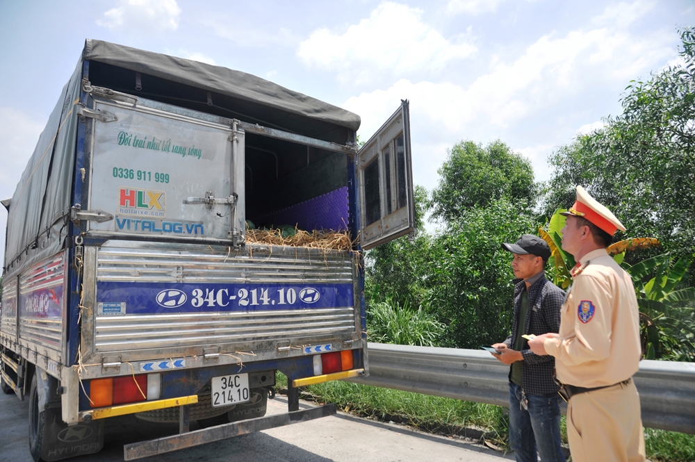 Kiểm soát người và phương tiện vi phạm để bảo đảm chặt chẽ tình hình trật tự, an toàn giao thông trên tuyến.
