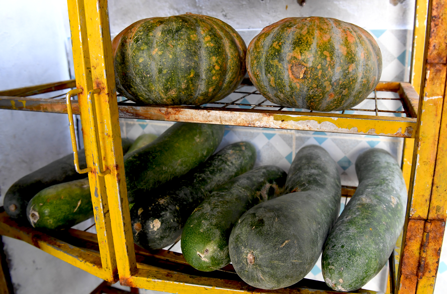 Rau quả dự trữ khi biển động.