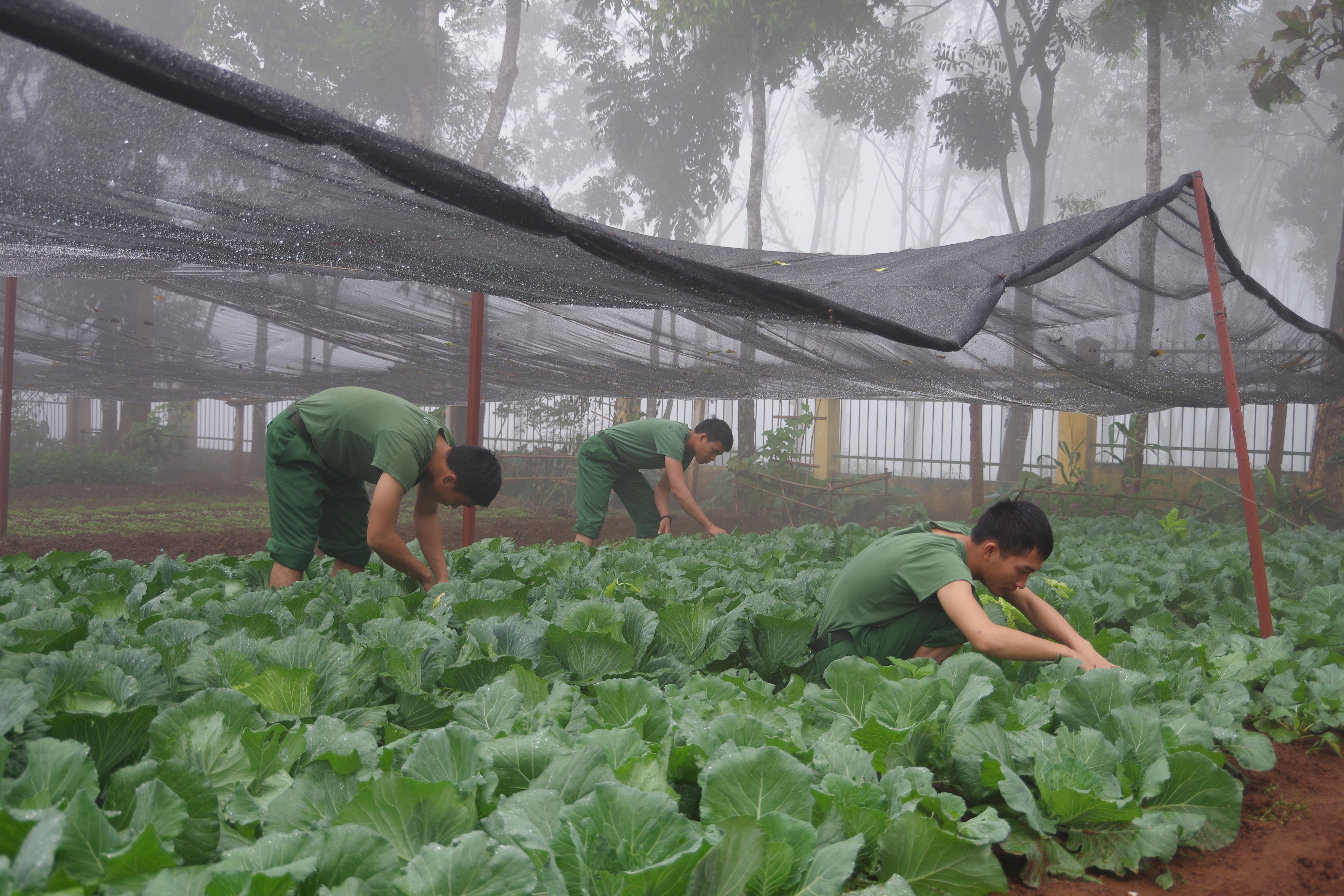 Chủ động bảo đảm tốt hậu cần 