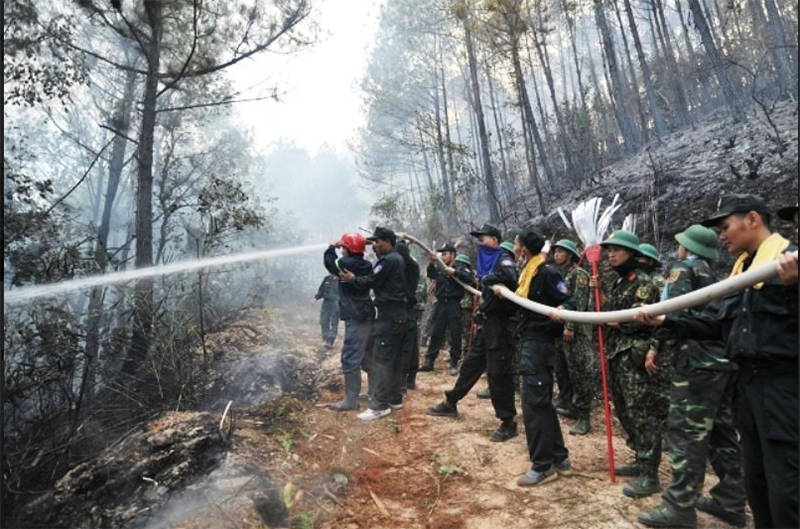 Cháy rừng diện rộng, điều động gần 3.000 lượt cán bộ, chiến sĩ tham gia chữa cháy

