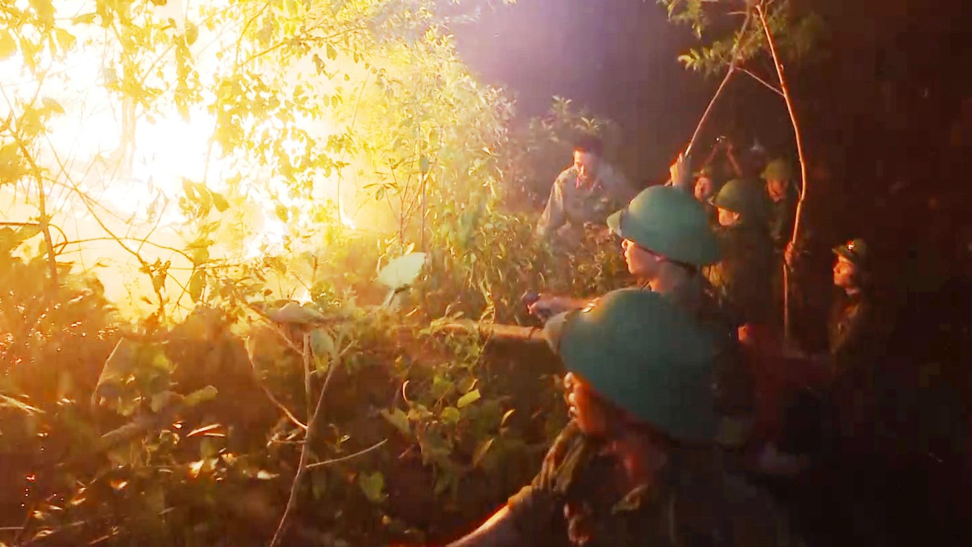 Bài học rút ra từ những vụ cháy rừng